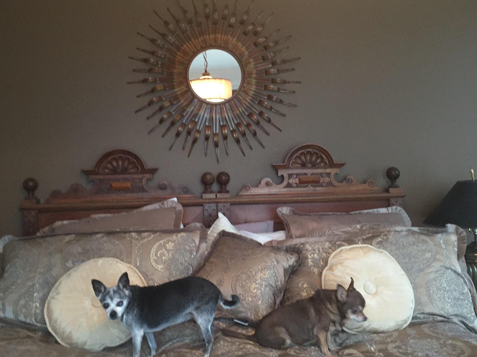 Safavieh Home Collection Sun Mirror customer photo 1