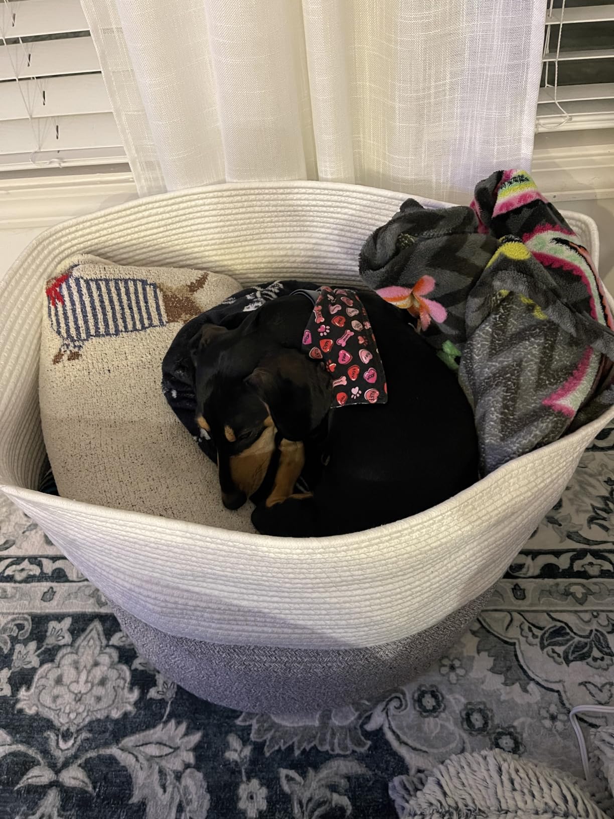 Goodpick Woven Rope Basket for Blankets Fit Nursery & Living Room, 45L customer photo 1