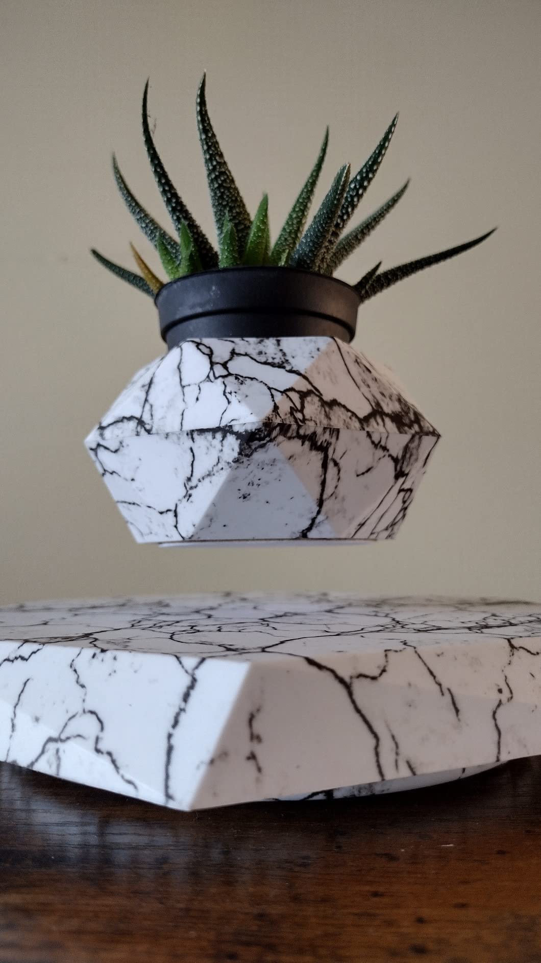 MOOCCI Levitating Plant Pot, Floating air Planter for Succulents | Air Bonsai and Artificial Plants, Home Office Desk Decor, Gift for Valentine's Day, Christmas, Anniversaries (Black) customer photo 2