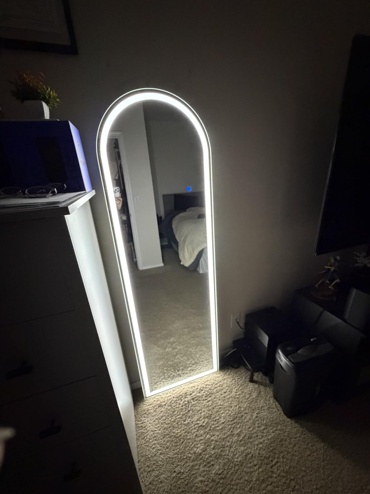 Sweetcrispy LED Full Length Floor Mirror, 65