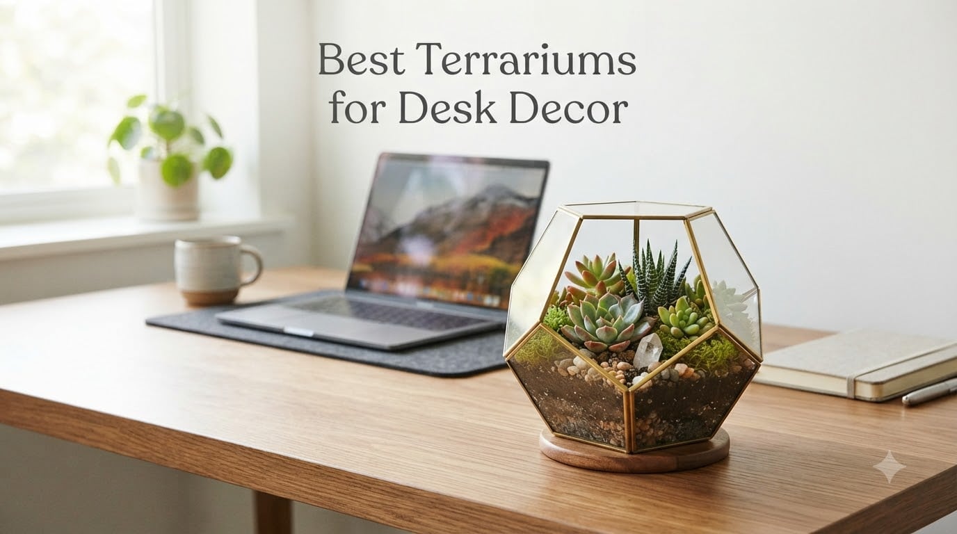 Best Terrariums for Desk Decor