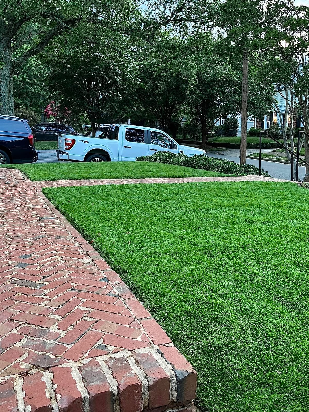 Scotts 2000-20S 20-Inch 5-Blade Push Reel Lawn Mower, Green customer photo 1