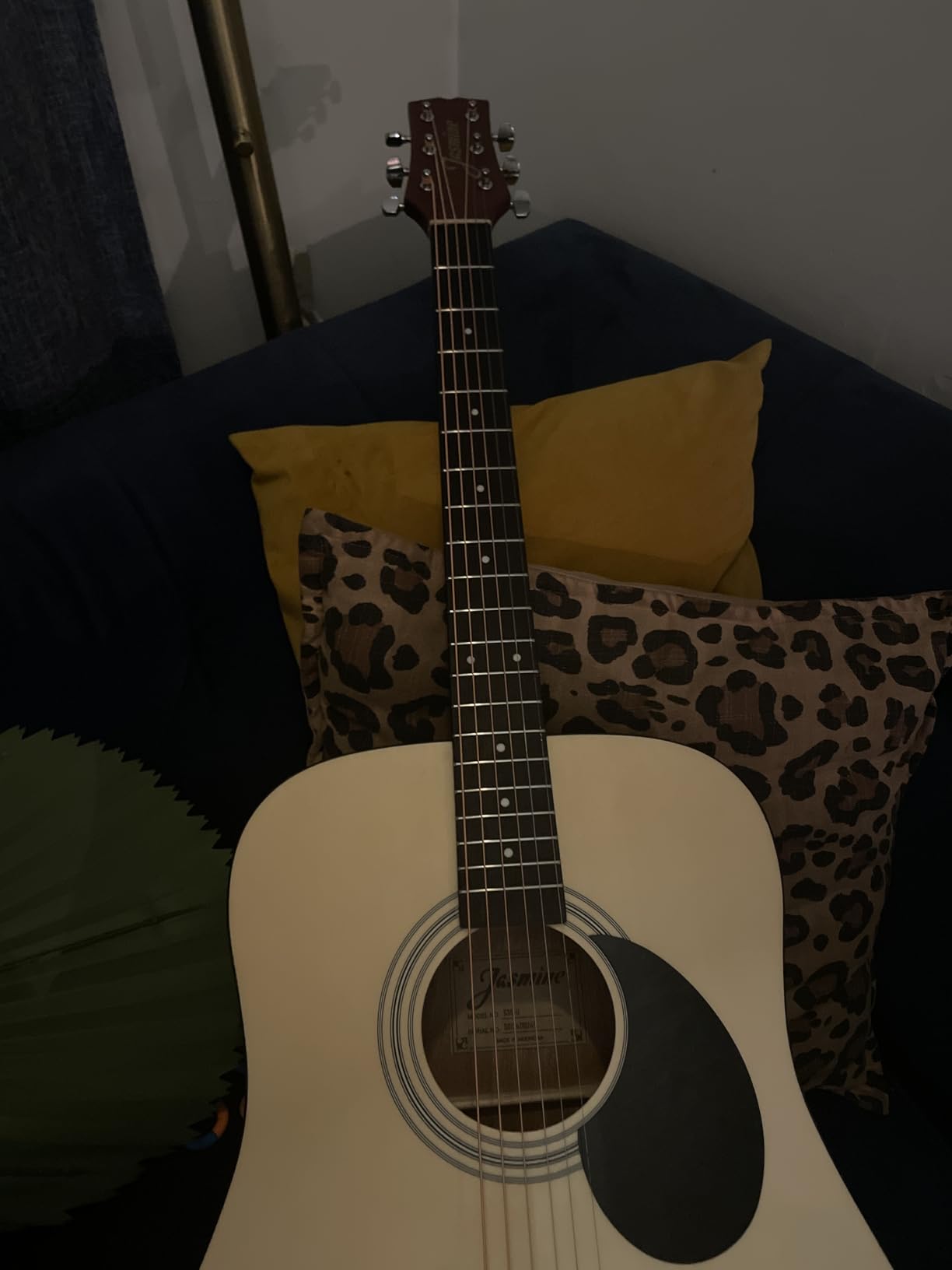 Jasmine S35 Dreadnought Acoustic Guitar Natural customer photo 2