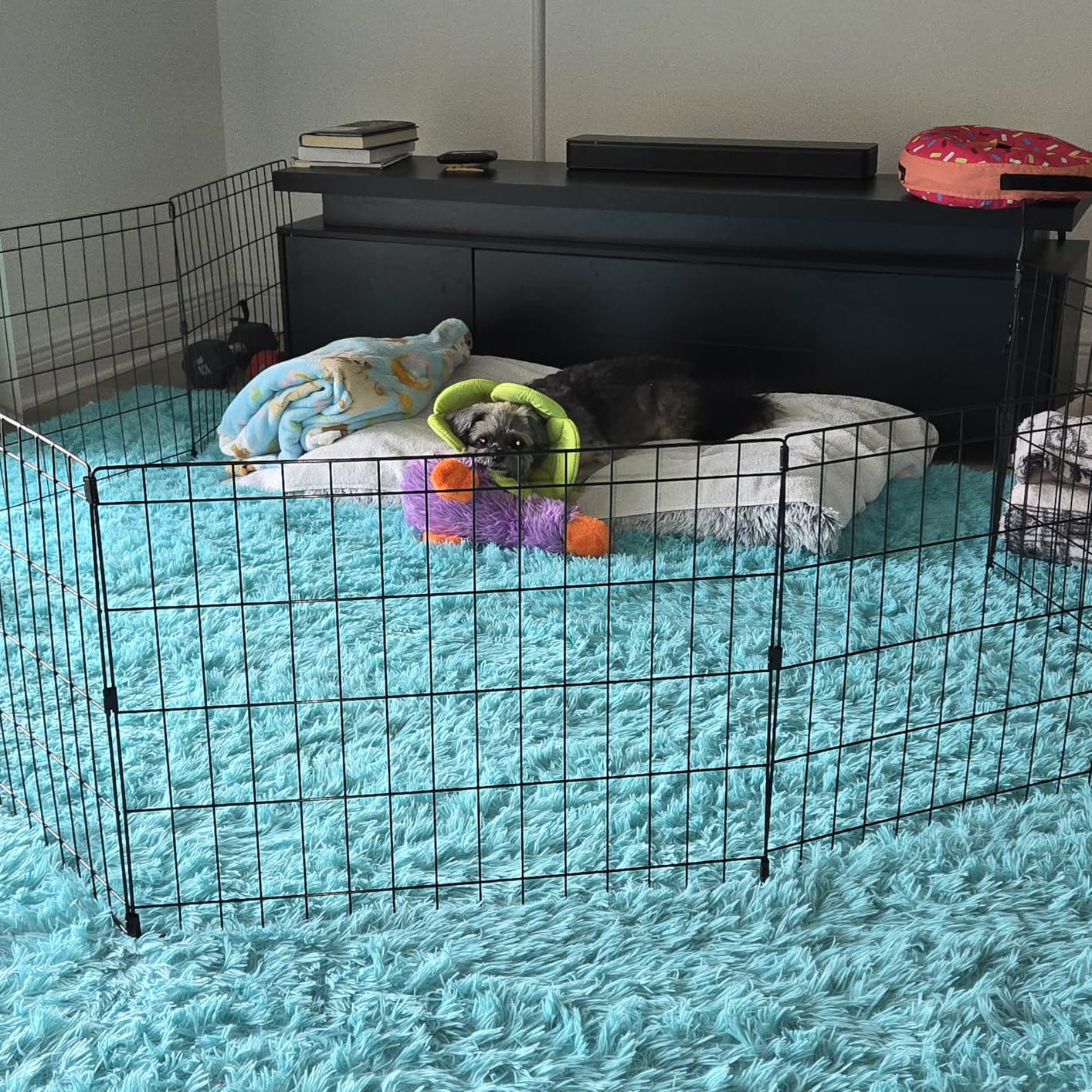 MidWest 30-Inch Exercise Pen, No Door, 16 Sq Ft Play Area customer photo 2