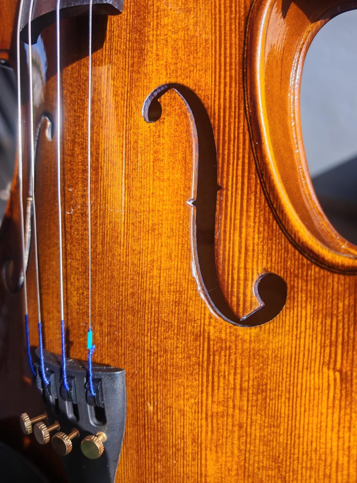 Cremona SV-175 4/4 Premier Student Violin Outfit – Solid Spruce Top, Maple Back, Ebony Fittings, Prelude Strings, Case & Bow for Beginner & Advancing Students customer photo 1