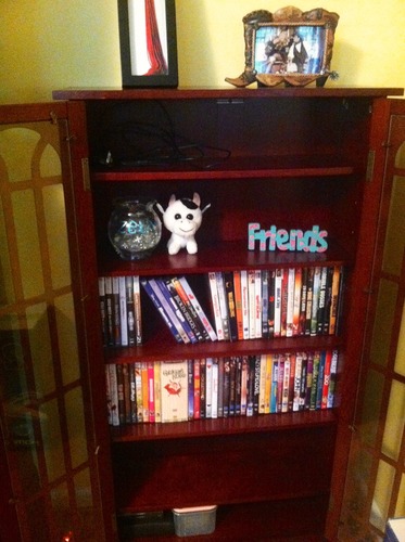 SEI Furniture - Window Pane Media Cabinet - Cherry - Transitional Design, Brown Glass and Wood - Ideal for Home Office, Living Room (MS1073) customer photo 2