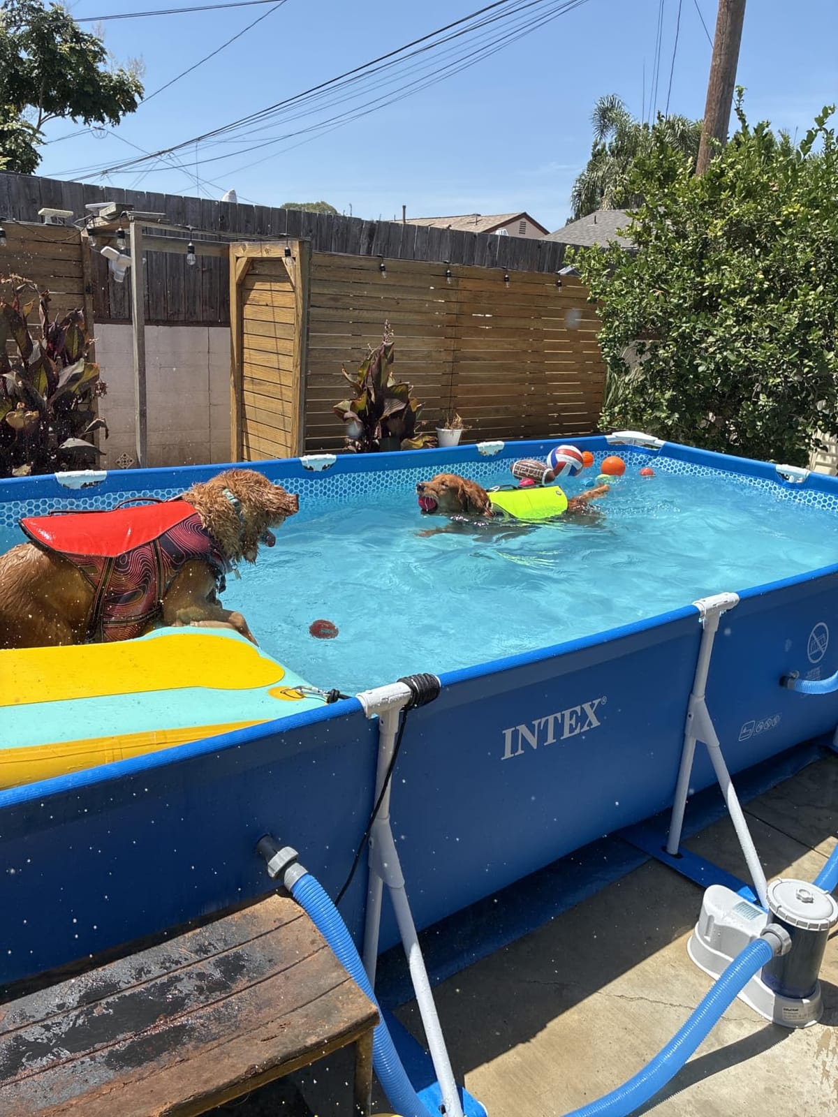 INTEX Metal Frame 14ft 9in x 7ft 3in x 33in Above Ground Swimming Pool customer photo 1