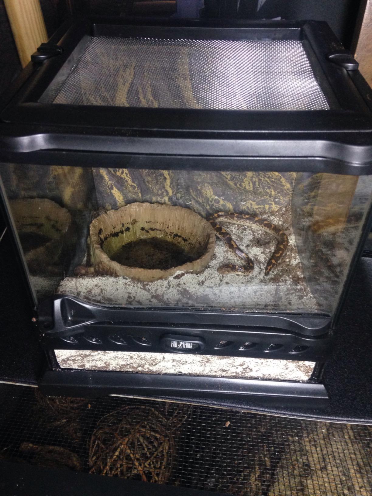 Exo Terra Glass Nano Terrarium Kit, 8 x 8 x 12 Inches customer photo 1