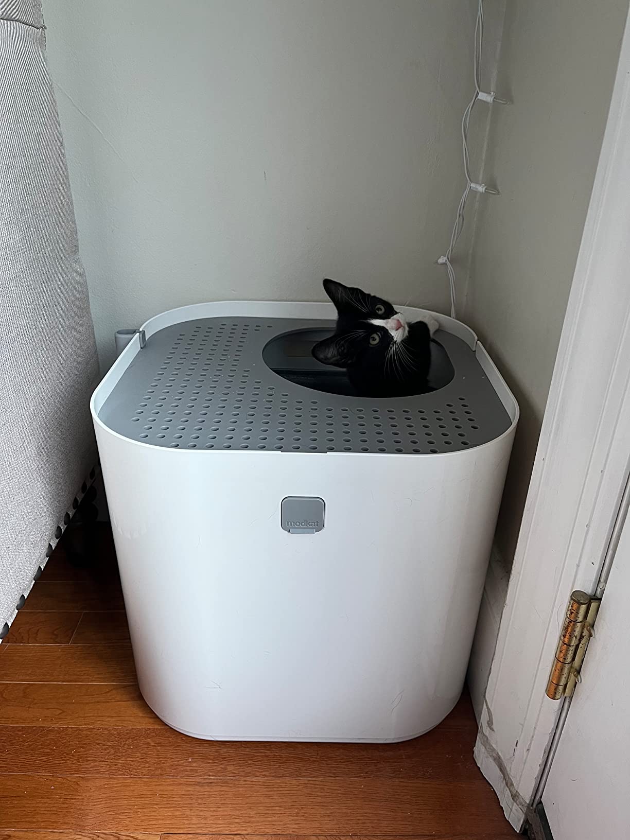 Modkat Top-Entry Cat Litter Box, Leak-Proof, Liner & Scoop, White customer photo 2
