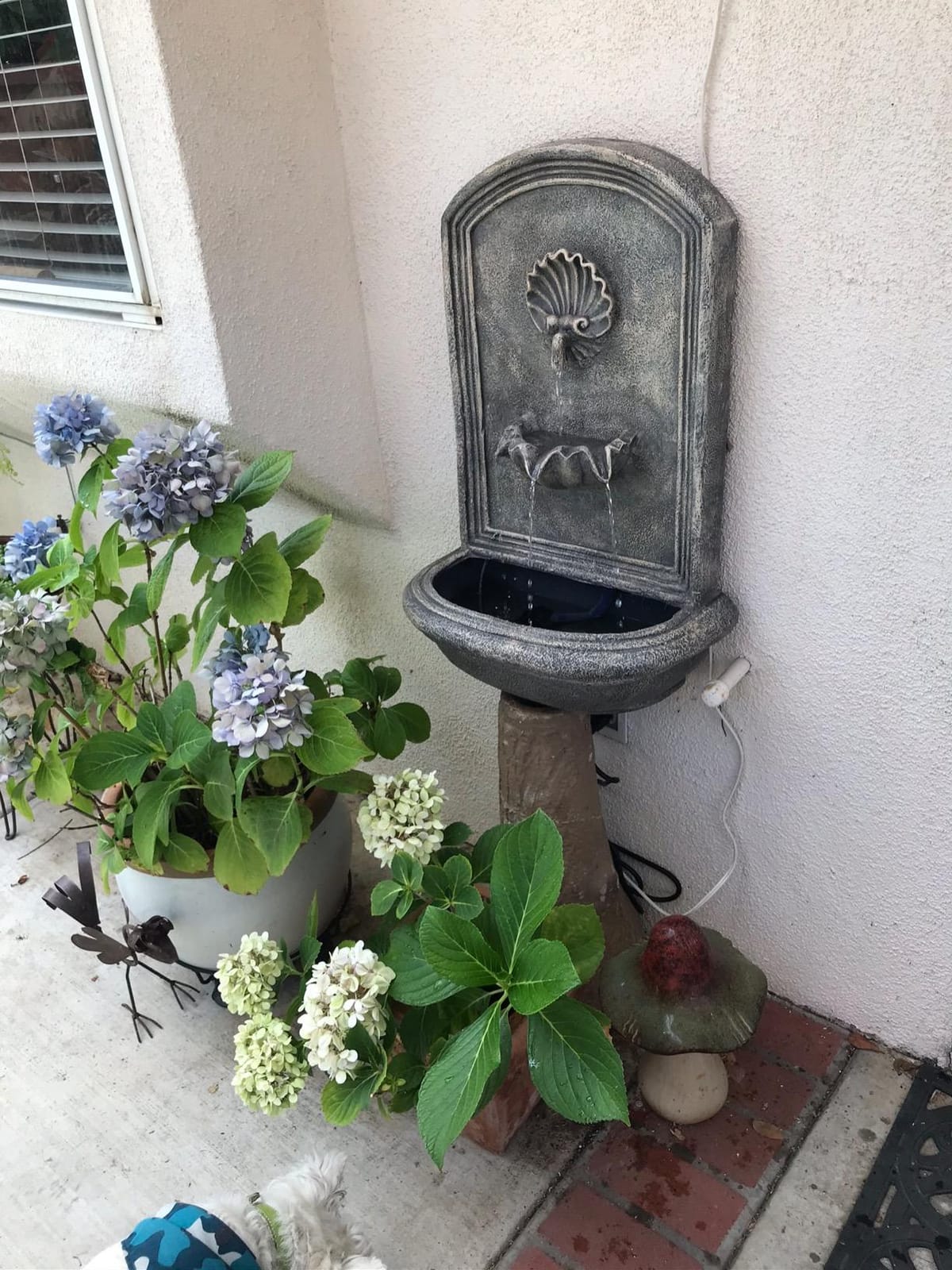 Sunnydaze Seaside 27 in Outdoor Wall Water Fountain with Pump - Florentine customer photo 1