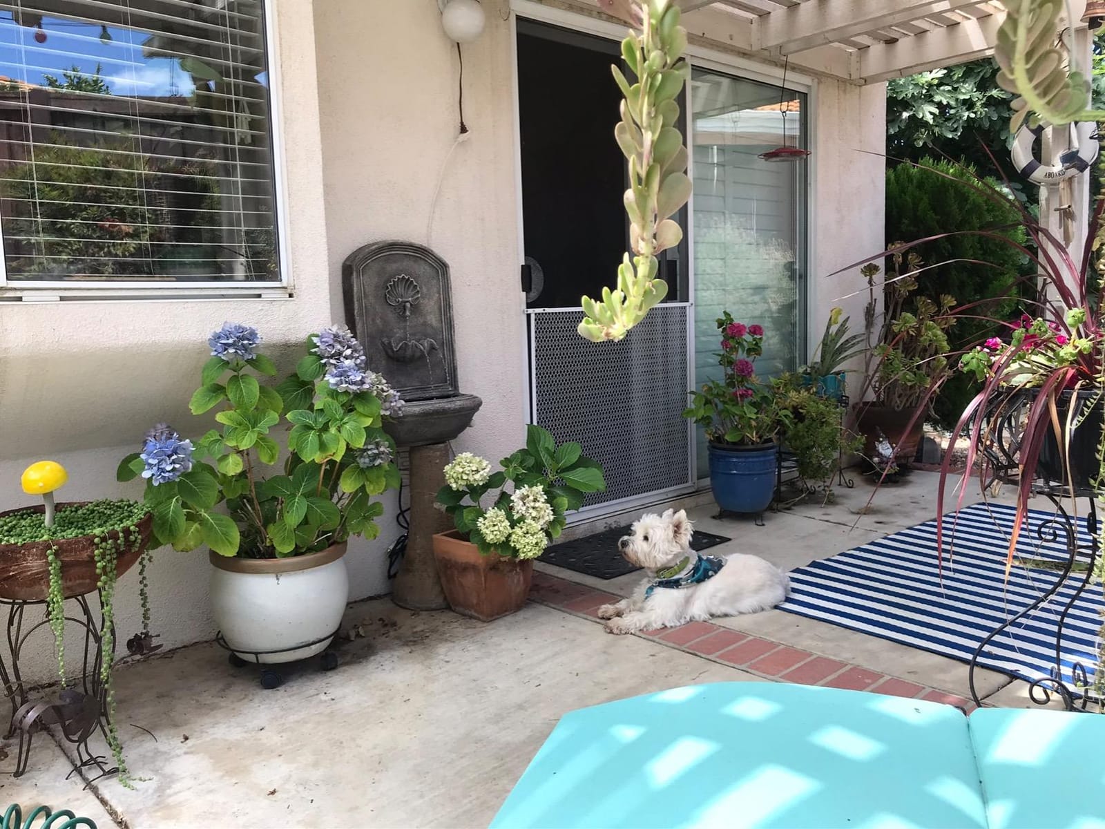 Sunnydaze Seaside 27 in Outdoor Wall Water Fountain with Pump - Florentine customer photo 2