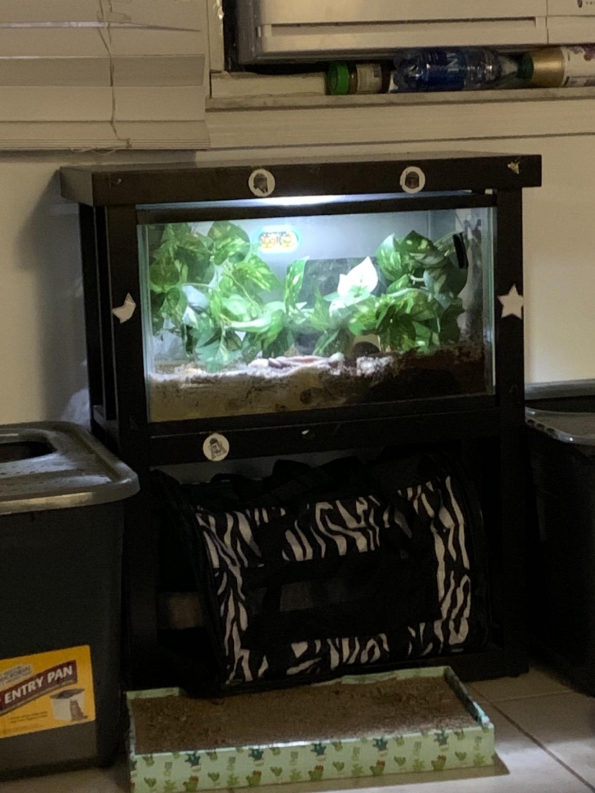 imagitarium by Petco Newport Wooden Tank Stand - for 20 Gallon Aquariums customer photo 1