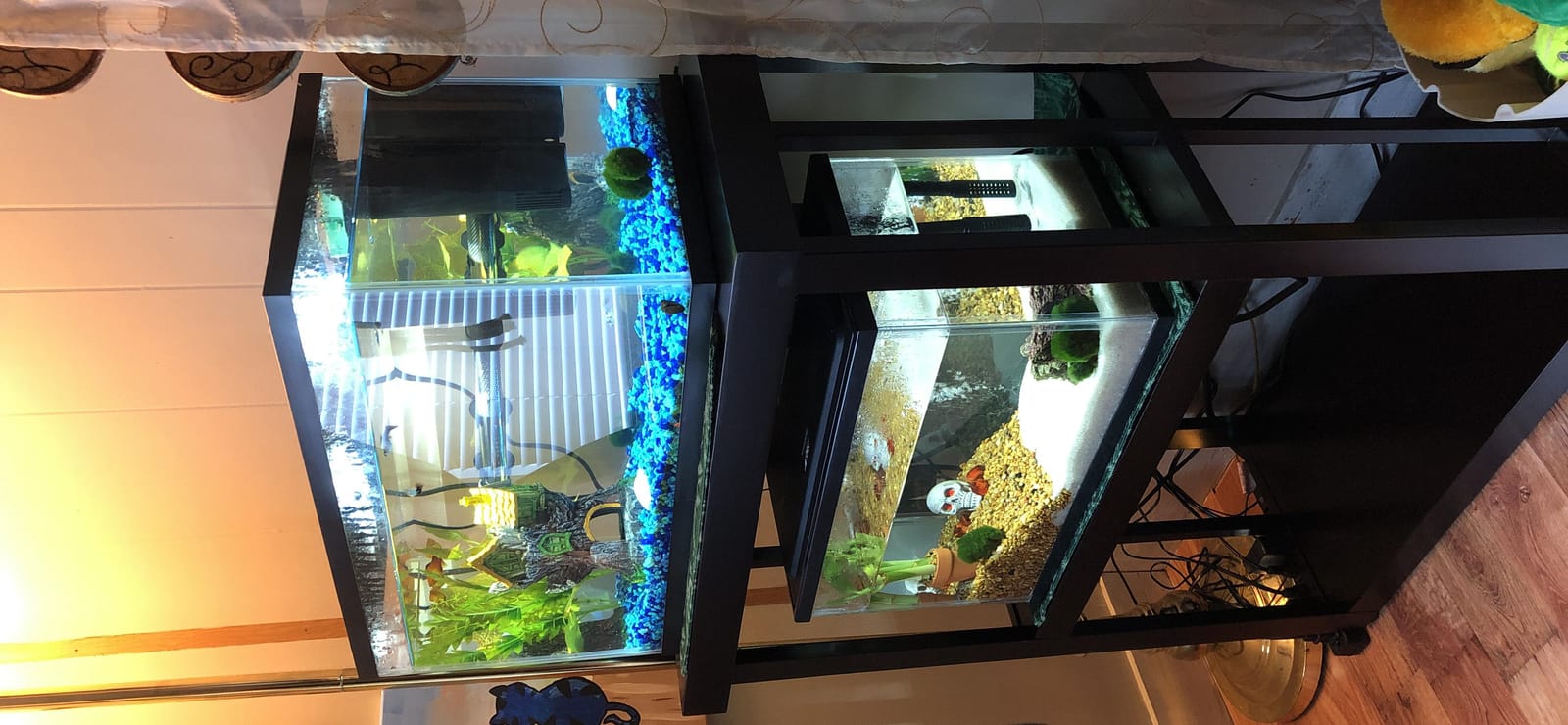 imagitarium by Petco Newport Wooden Tank Stand - for 20 Gallon Aquariums customer photo 2