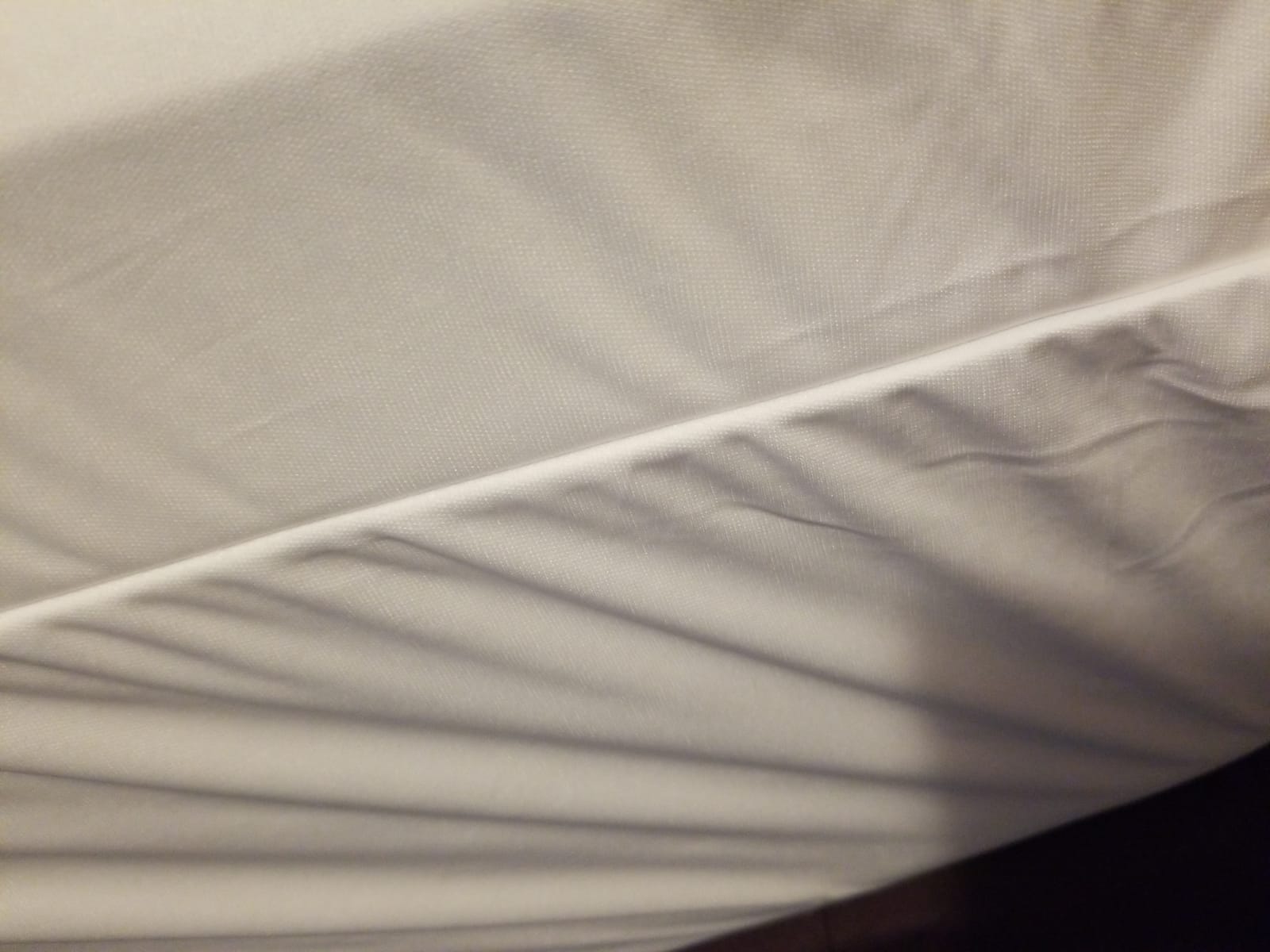 Guardmax Queen Mattress Protector Zippered, Bed Bug Mattress Cover customer photo 2