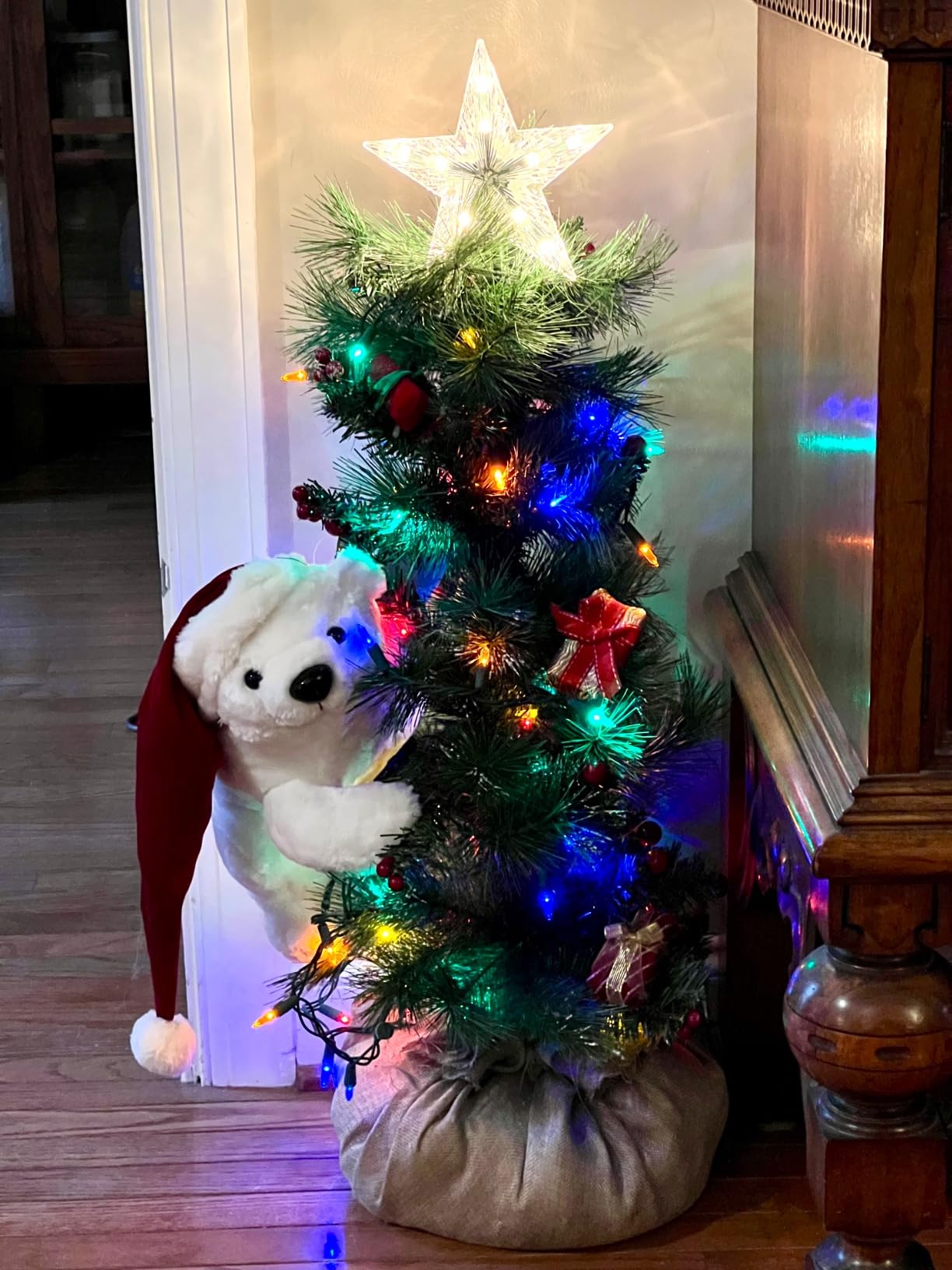 Kurt Adler Star Treetop 10-Light Set, 7-Inch, Clear customer photo 1