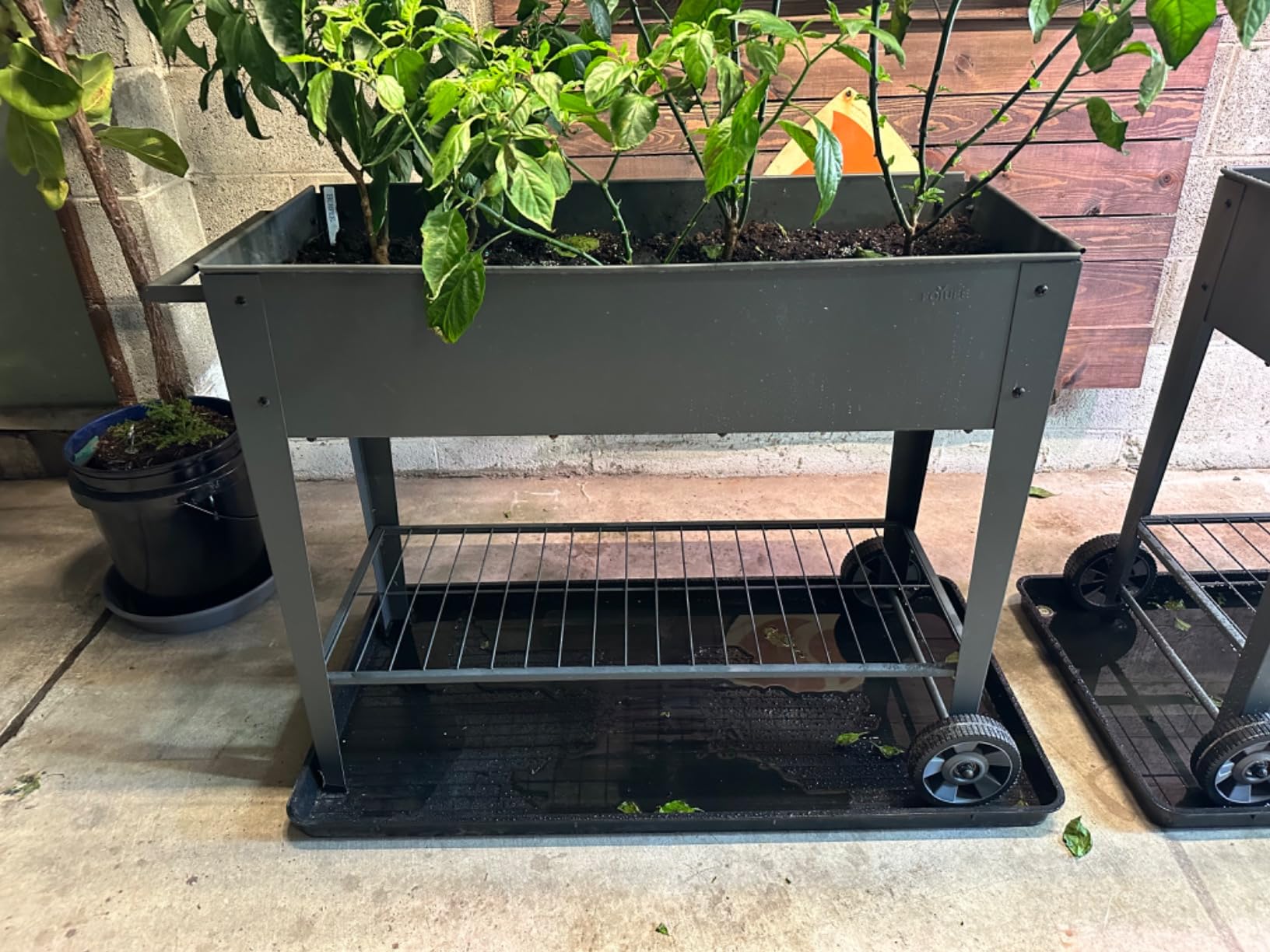 Gardener's Supply Company Large Boot Tray | Multi-Purpose All Weather Waterproof Indoor and Outdoor Shoe Mat Made with 100% Recycled Plastic | 46.5