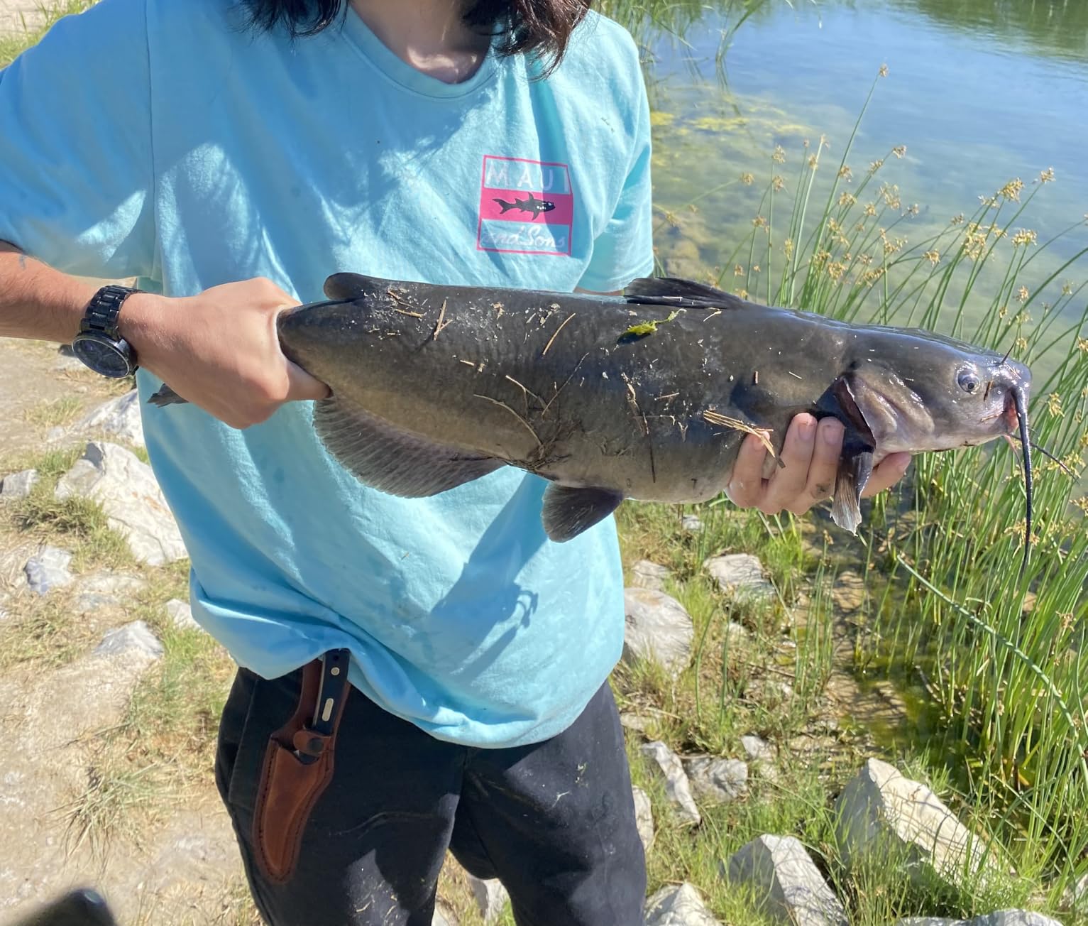 Abu Garcia Ambassadeur SX Baitcast Fishing Reel customer photo 2