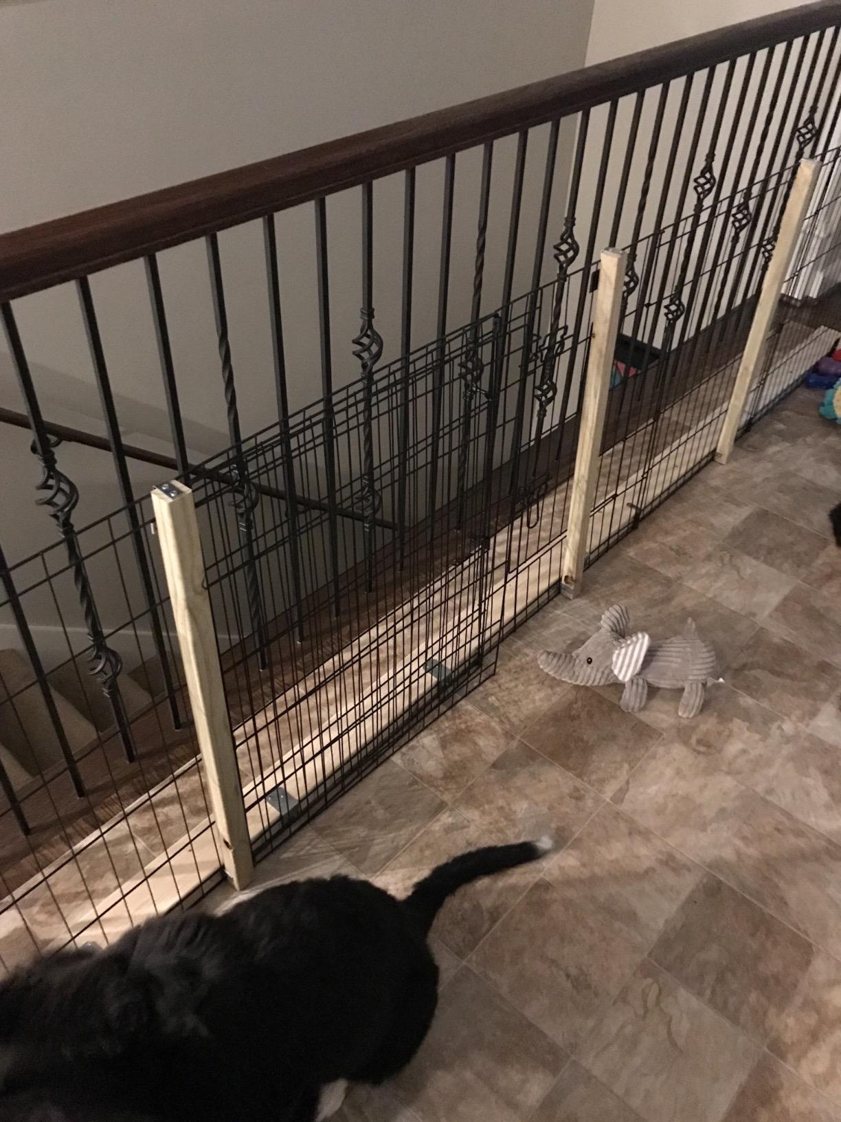 Dog Playpen - Foldable Metal Exercise Puppy Play Pen with 8 24x30in Panels - Indoor/Outdoor Pen with Door for Dogs, Cats or Small Animals by PETMAKER customer photo 1