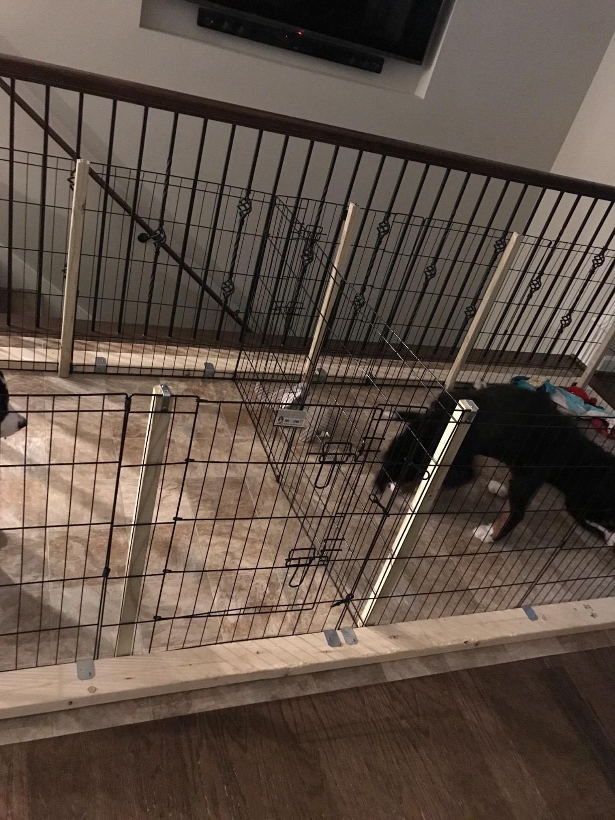 Dog Playpen - Foldable Metal Exercise Puppy Play Pen with 8 24x30in Panels - Indoor/Outdoor Pen with Door for Dogs, Cats or Small Animals by PETMAKER customer photo 2