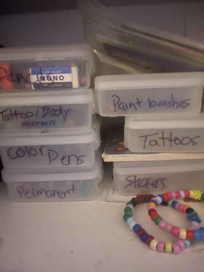 IRIS USA Clear Cases |Made in USA| Plastic Box Organizers (10-Pack)- Small customer photo 2
