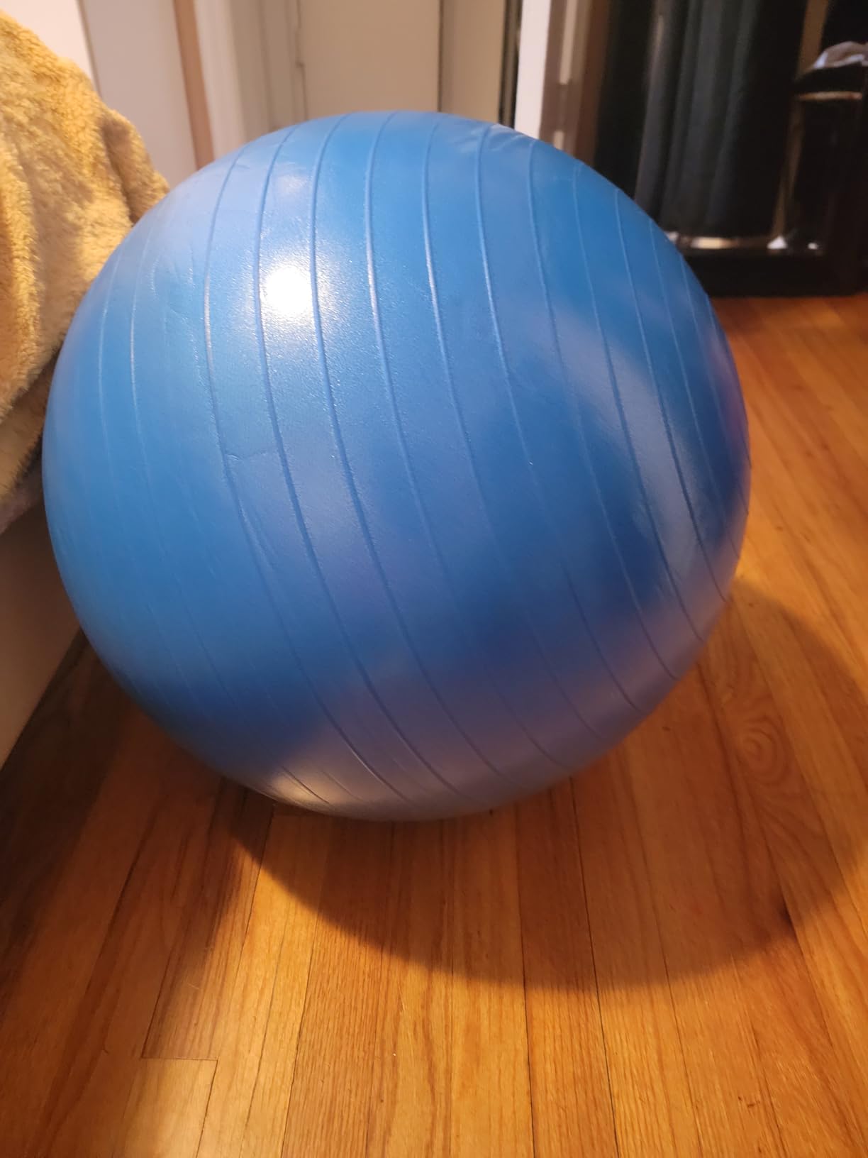 ProBody Pilates Yoga Ball - Gym Grade Exercise Ball customer photo 2