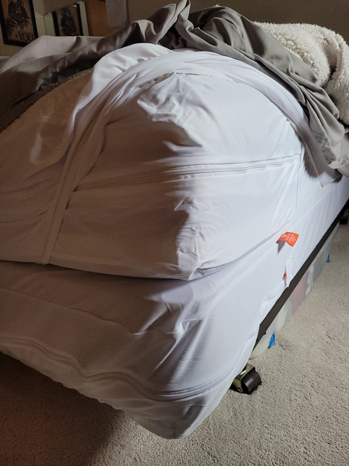 HOSPITOLOGY PRODUCTS Mattress Encasement - Zippered Bed Bug Dust Mite Proof Hypoallergenic - Sleep Defense System - Queen customer photo 1