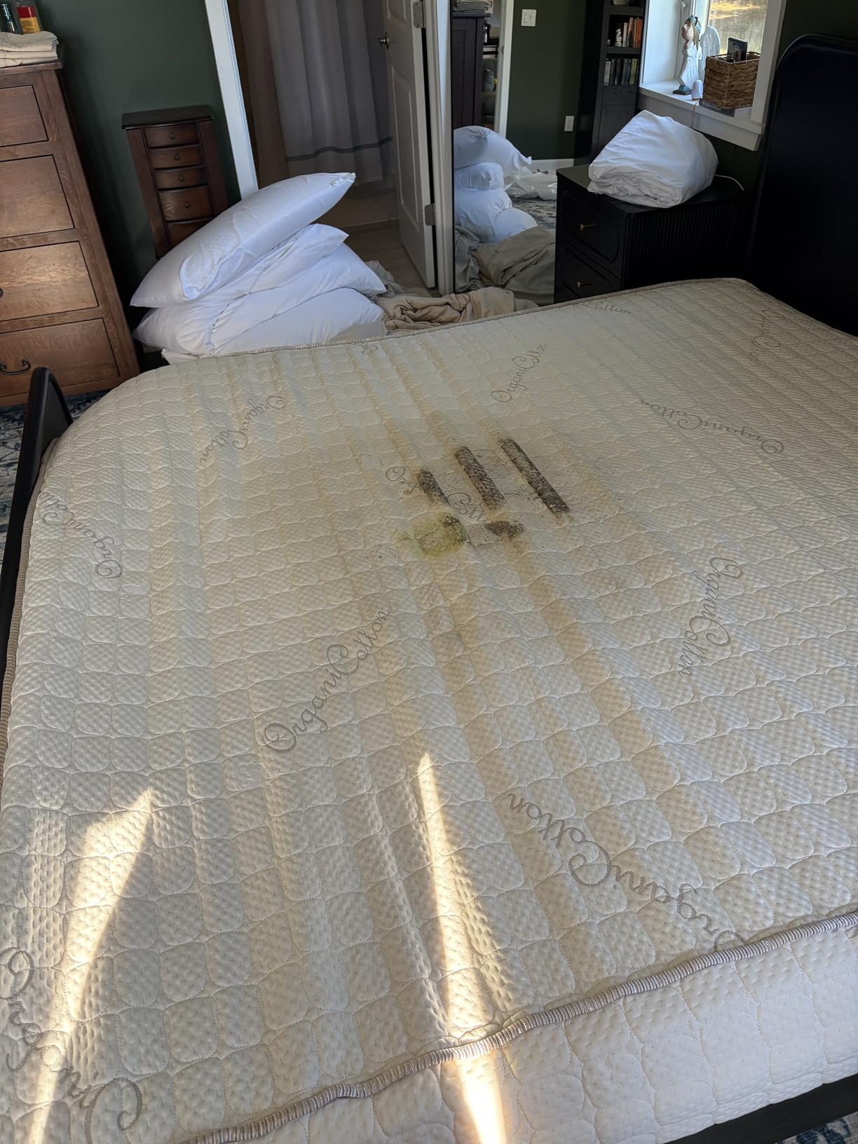 AllerEase Maximum Allergy Mattress Protector, Full Size customer photo 1