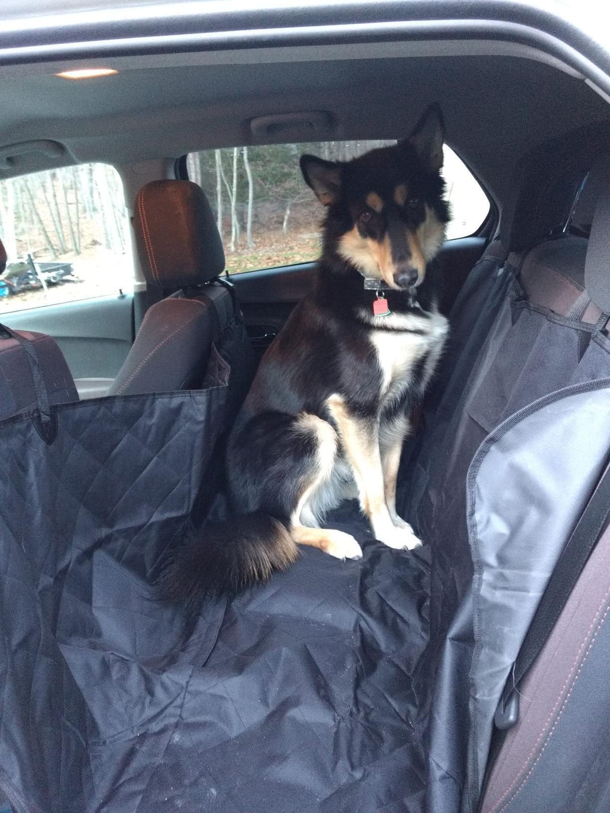 Half Hammock Dog Seat Cover for Back Seat - Waterproof Half Backseat Dog Cover, Space Saving Split Seat Design, Universal Fit & Heavy Duty Pet Restraint customer photo 1