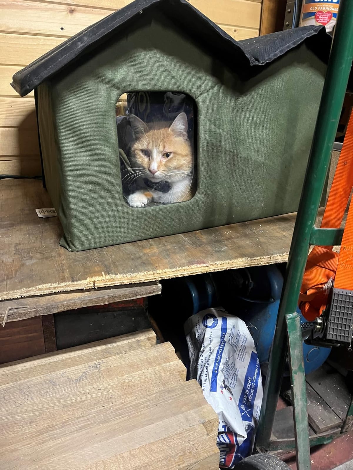 K&H Heated Cat House, Outdoor Extra-Wide Kitty House, Safety Listed, 20W customer photo 1