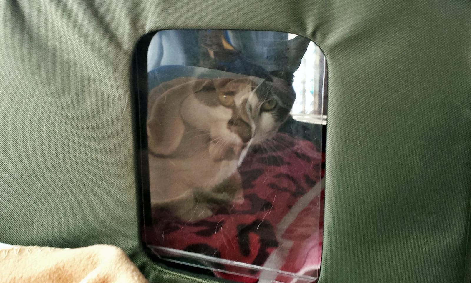K&H Heated Cat House, Outdoor Extra-Wide Kitty House, Safety Listed, 20W customer photo 2