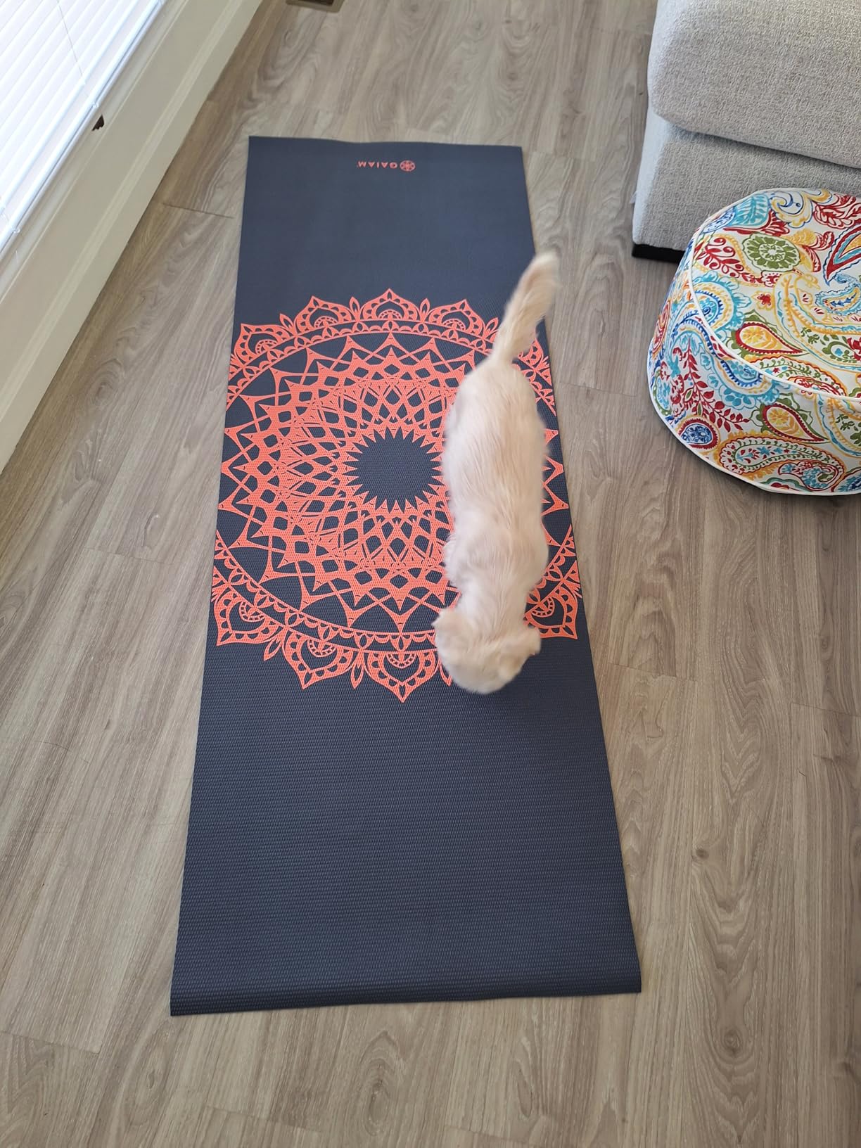 Gaiam Yoga Mat Classic Print, 4mm Non-Slip Mat customer photo 2