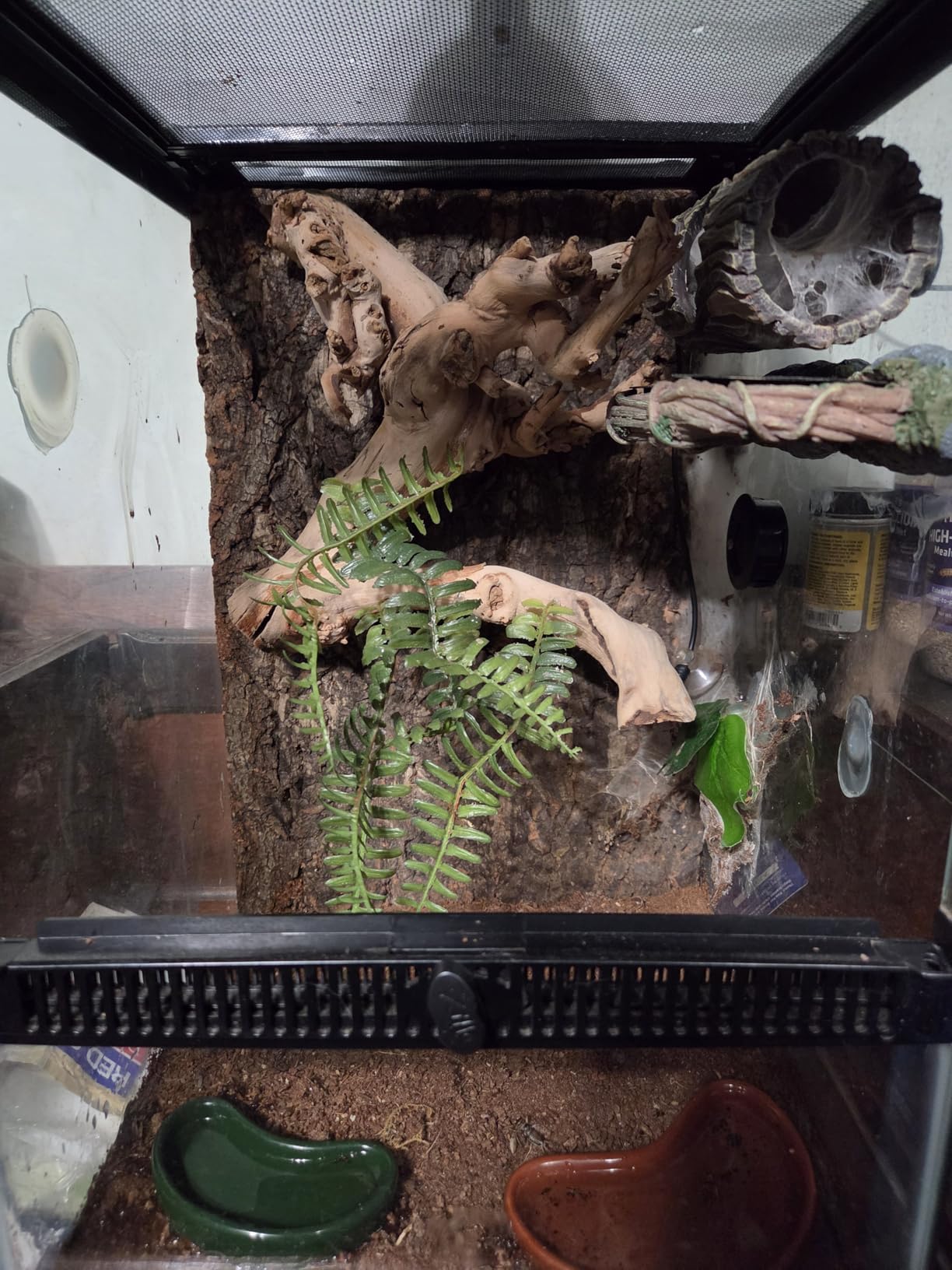 Zilla 11 Gallon Glass Tropical Vertical Terrarium Kit customer photo 1