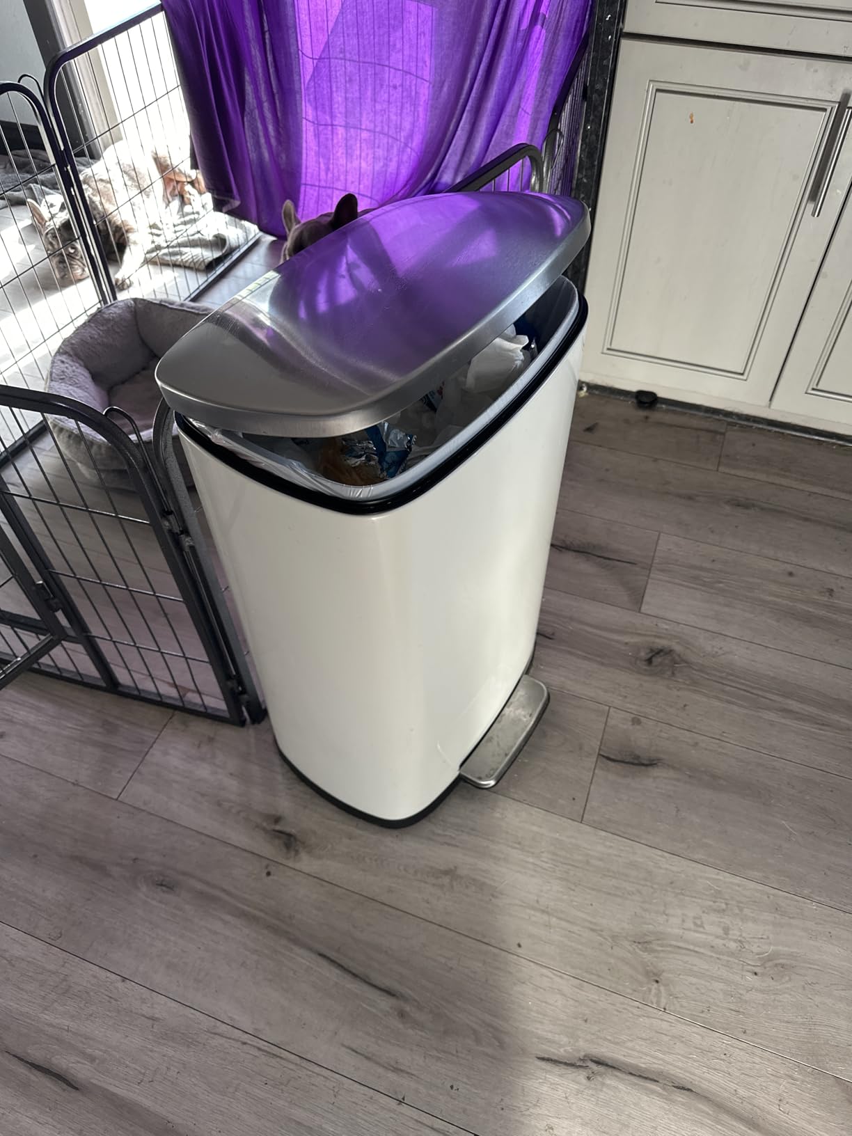 iTouchless 13.2 Gallon / 50L Step Trash Can with Lid | AbsorbX Odor Filter customer photo 2