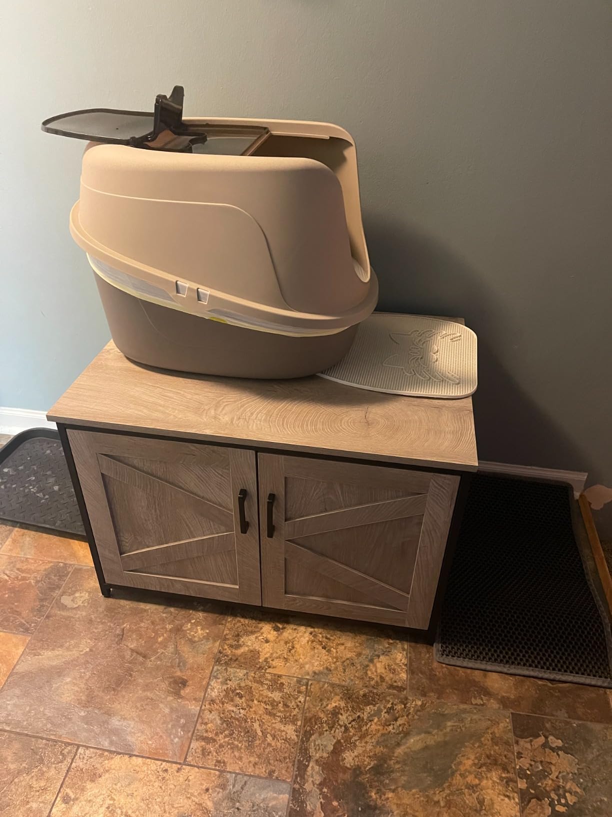 Amazon Basics No-Mess Hooded Enclosed Cat Litter Box with Odor Control and Swinging Door, Standard, 21