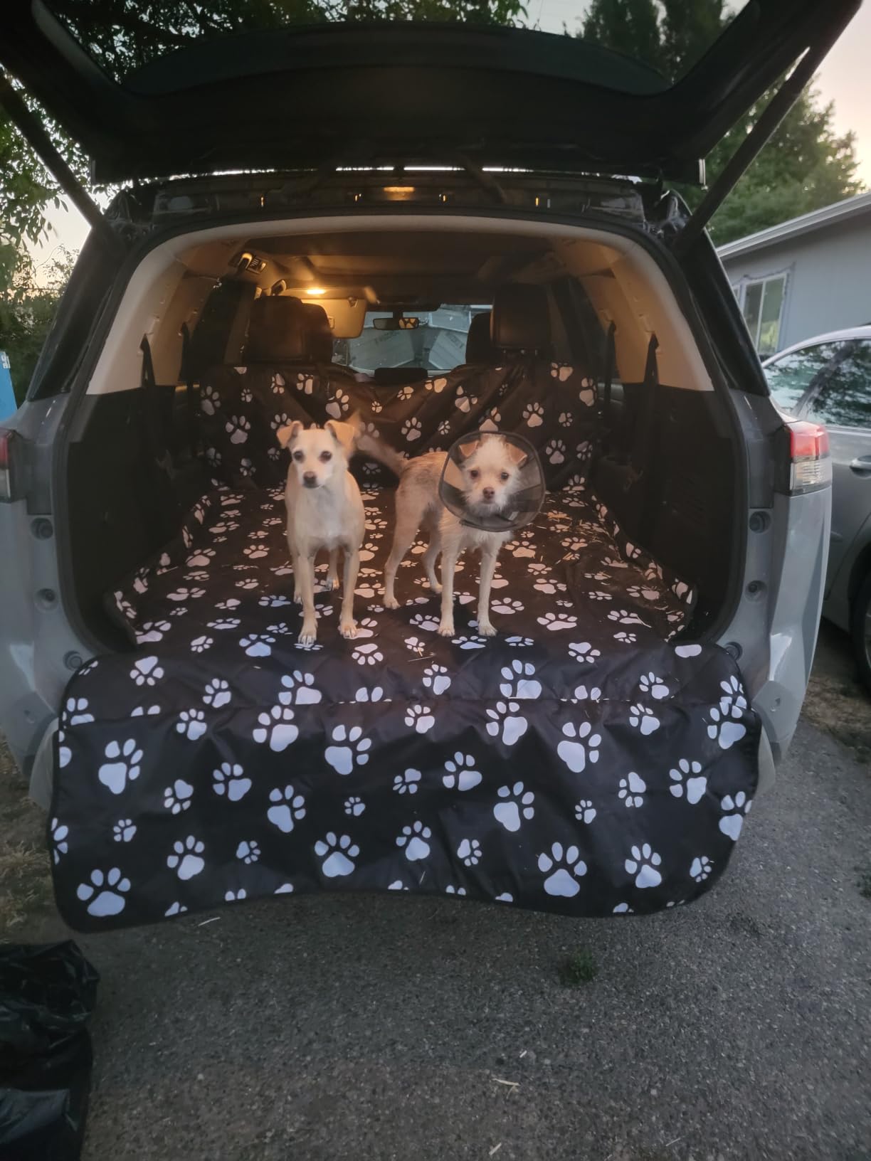 F-color SUV Cargo Liner for Dogs - Trunk Cover with Bumper Flap Protector customer photo 2