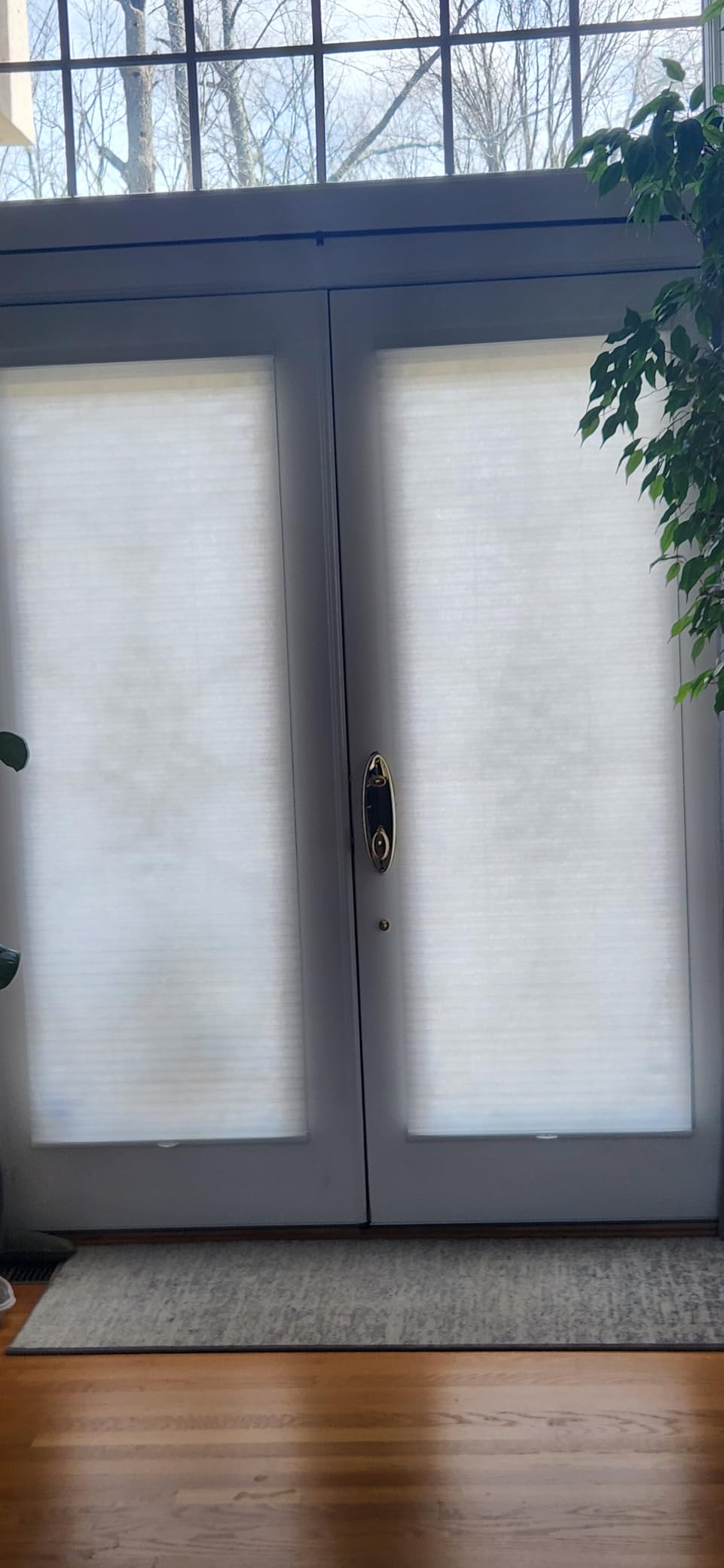 CHICOLOGY Cordless Cellular Shades, Room Darkening, Mist, 30x48 customer photo 2
