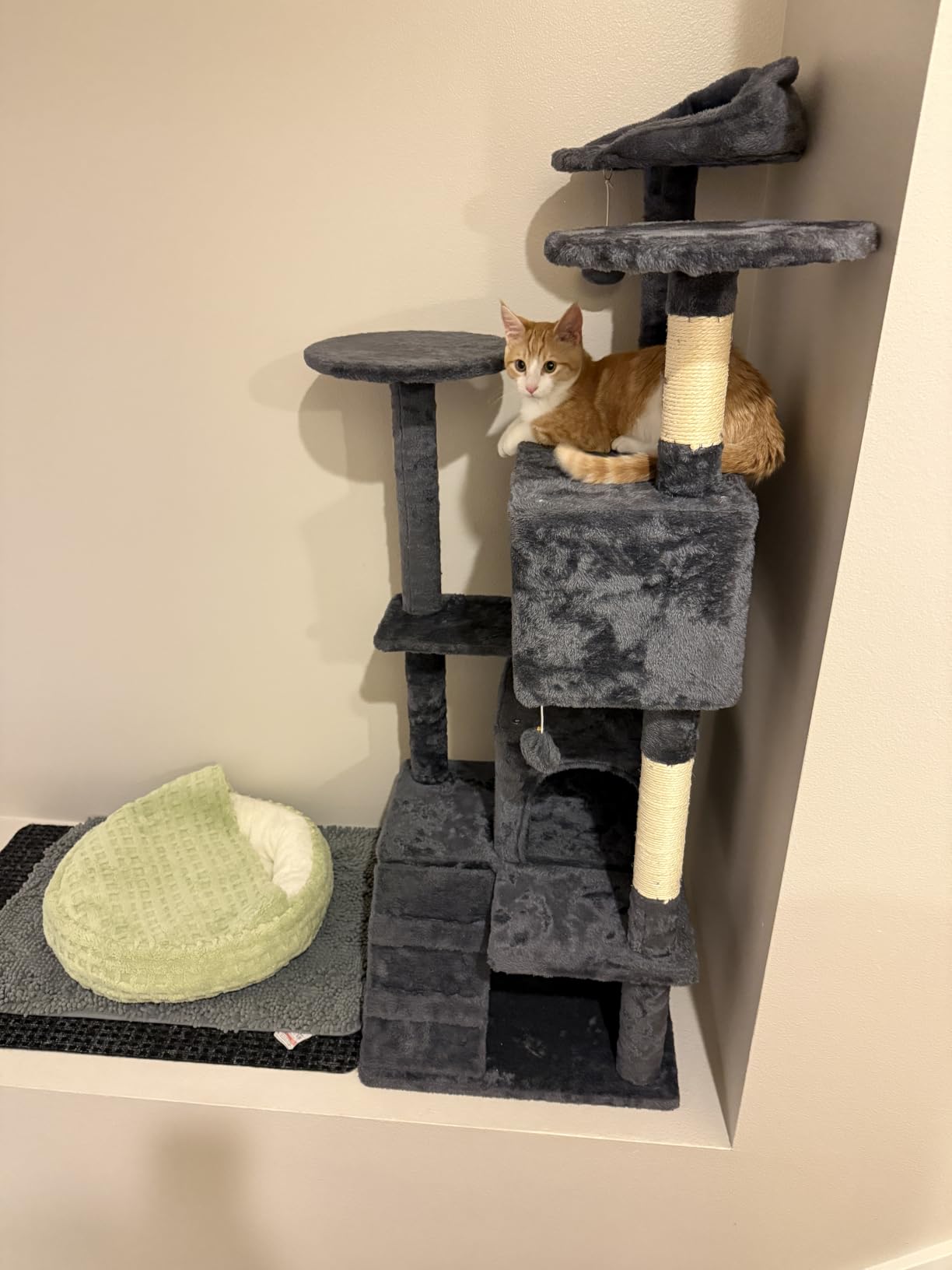 Yaheetech 54in Cat Tree Tower, 2 Caves, Kitten-Ear Perch & Scratching Posts customer photo 1