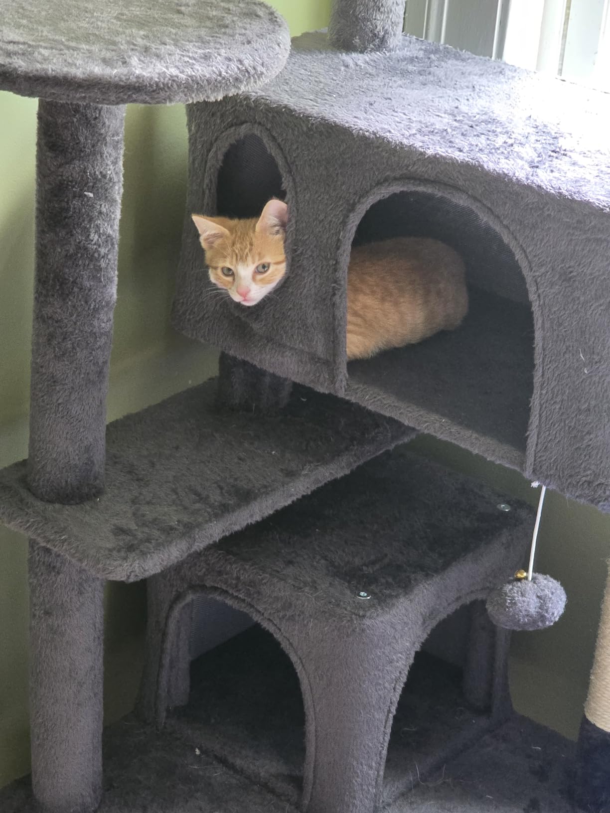 Yaheetech 54in Cat Tree Tower, 2 Caves, Kitten-Ear Perch & Scratching Posts customer photo 2