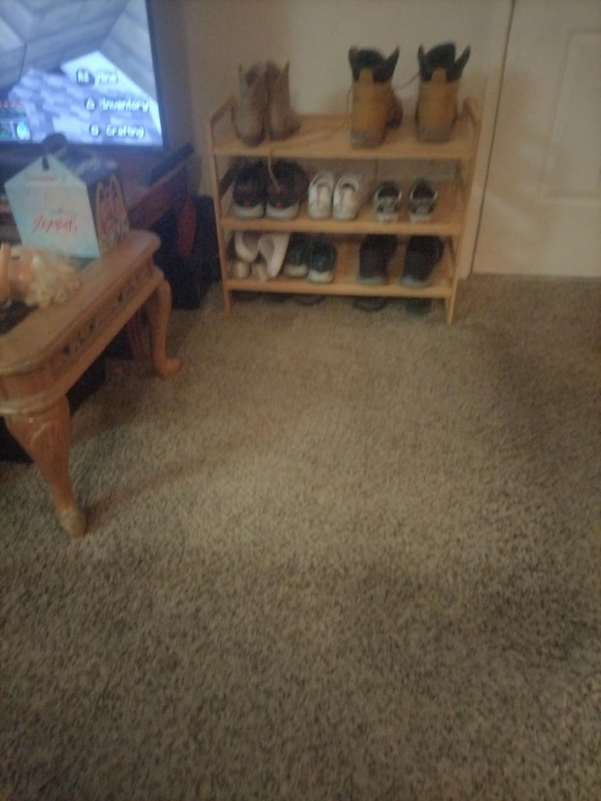 Bissell CrossWave Pet Pro Wet Dry Vacuum Mop, Hard Floors, 2306A customer photo 1