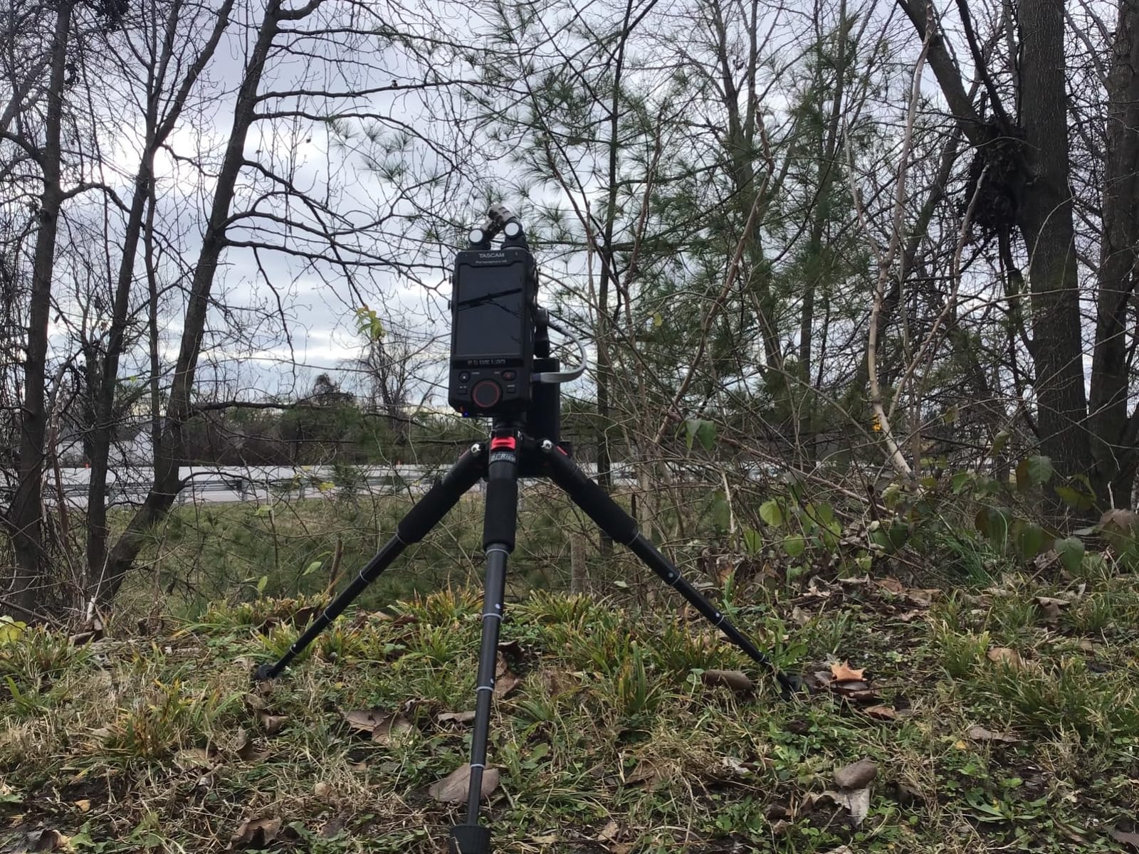 NEEWER Portable Travel Mini Tabletop Tripod, Aluminum Alloy 20''/ 50cm customer photo 2
