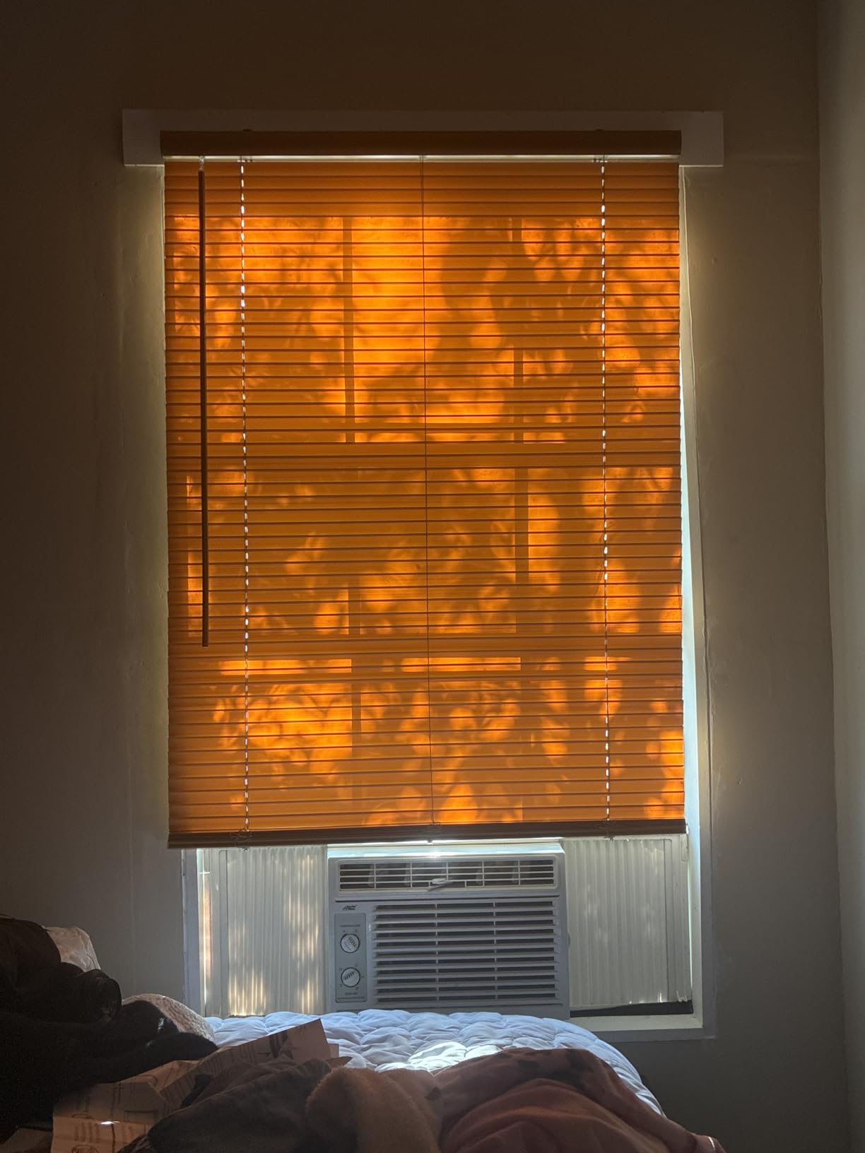 Cordless Light Filtering Mini Blinds for Indoor, 34 x 64 in, Pearl White customer photo 2