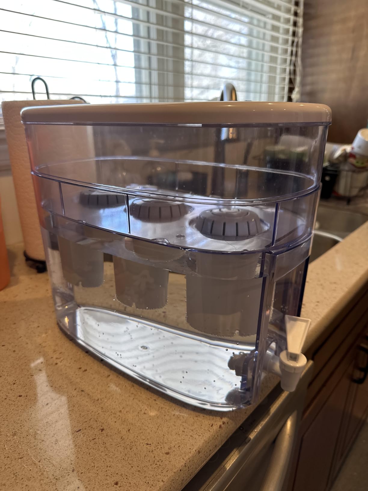 Invigorated Water Alkaline Water Filter Dispenser, 53-Cup Large Capacity customer photo 2