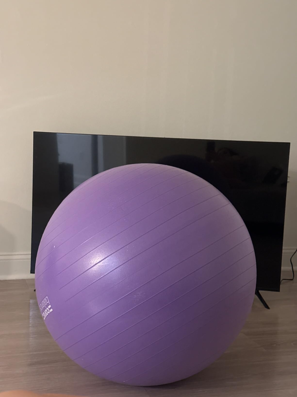Core Balance Exercise Ball, Stability Ball for Yoga, Pilates and Fitness, Gym Ball for Home Gym and Office Chair, Training, Physical Therapy, Anti Burst, Pump Included, 55cm 65cm 75cm 85cm customer photo 1