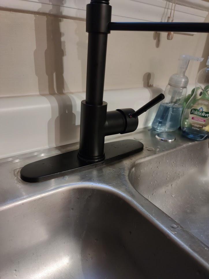 Kitchen Faucet with Pull Down Sprayer Matte Black customer photo 1