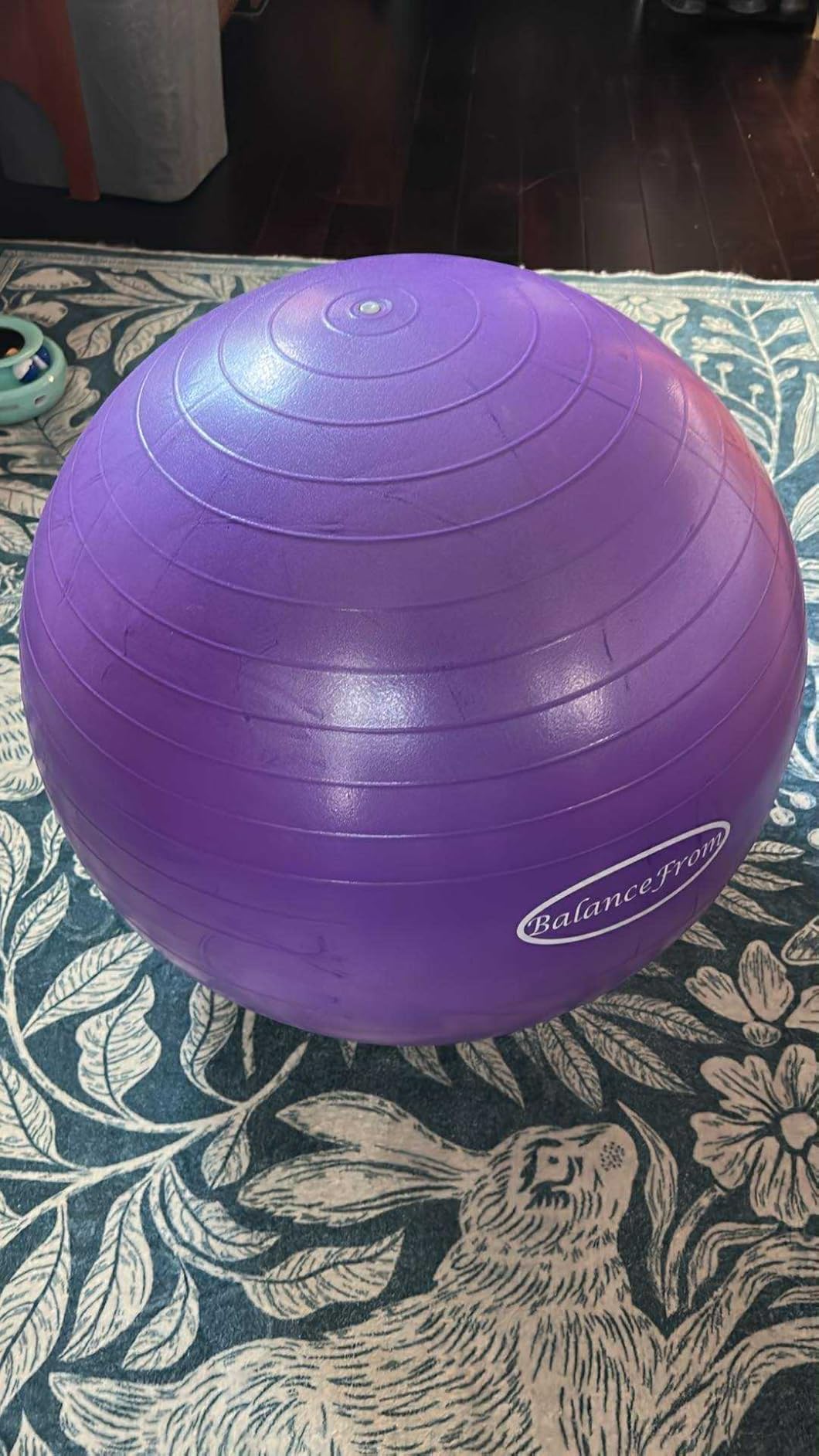 Fitvids Anti-Burst and Slip Resistant Exercise Ball Yoga Ball Fitness Ball Birthing Ball with Quick Pump customer photo 1