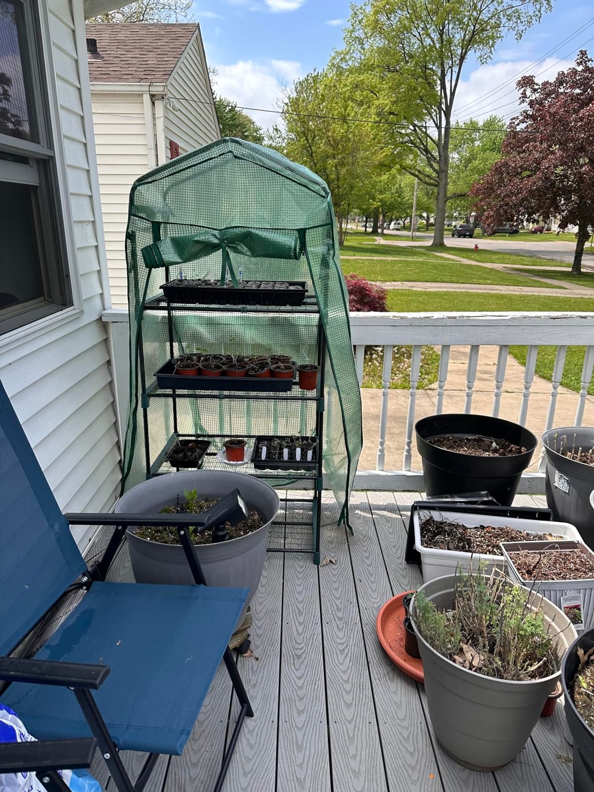 Ohuhu Mini Greenhouse for Indoor Outdoor, 27 x 19 x 62-Inch Small Plant Green House 4-Tier Rack Stand Portable Greenhouses with Durable PE Cover for Seedling, Ideal Gardening Gifts for Women Men customer photo 2