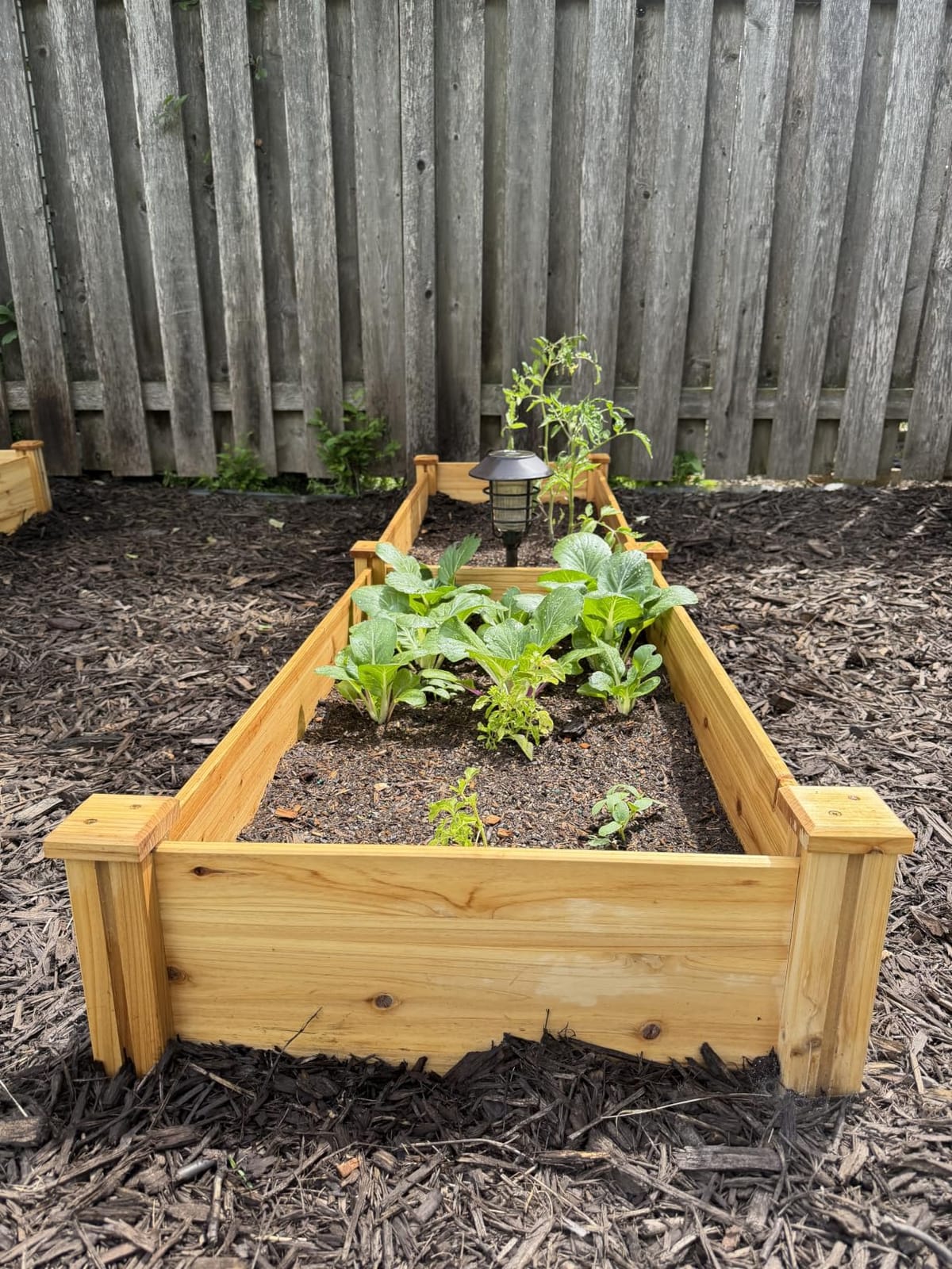 Yaheetech Raised Garden Bed Wooden Planter Box for Vegetables/Flowers, Wood customer photo 2