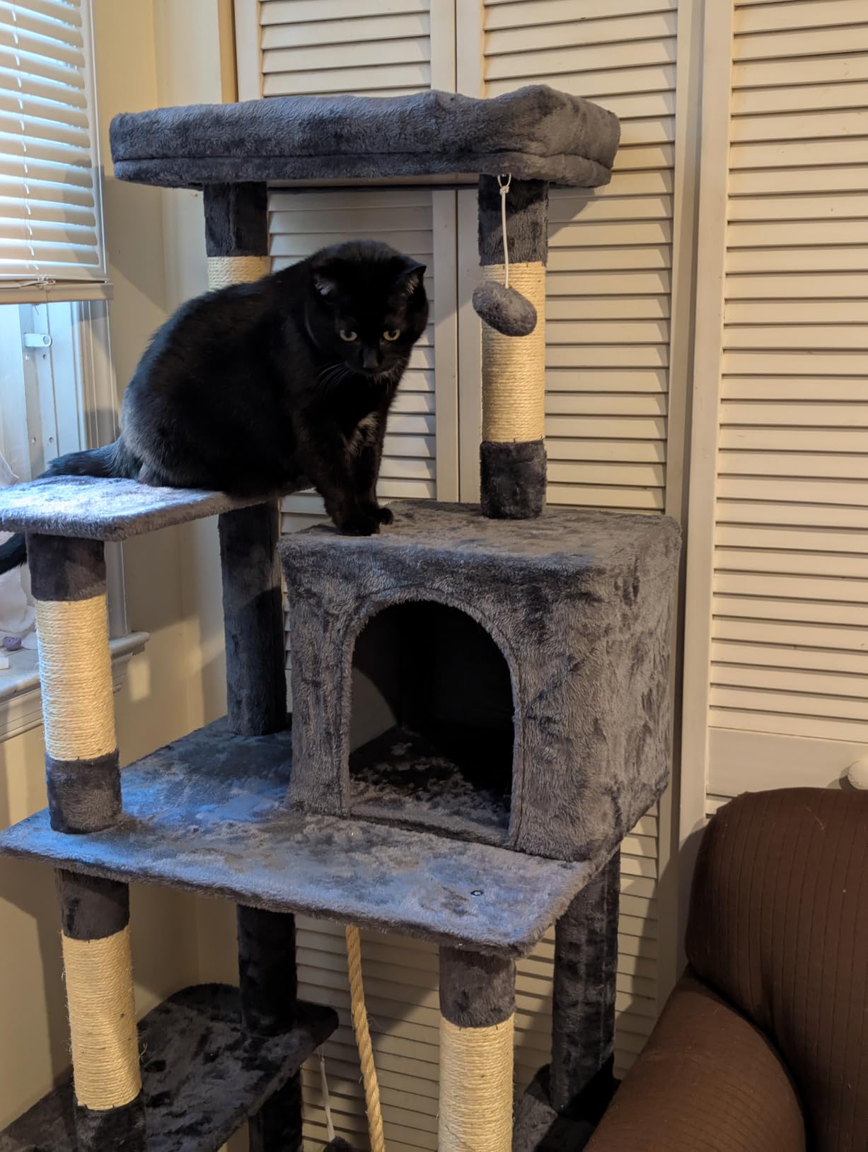 Yaheetech 63in Sturdy Large Cat Tree for Indoor Heavy Cats, Tall Tower customer photo 2