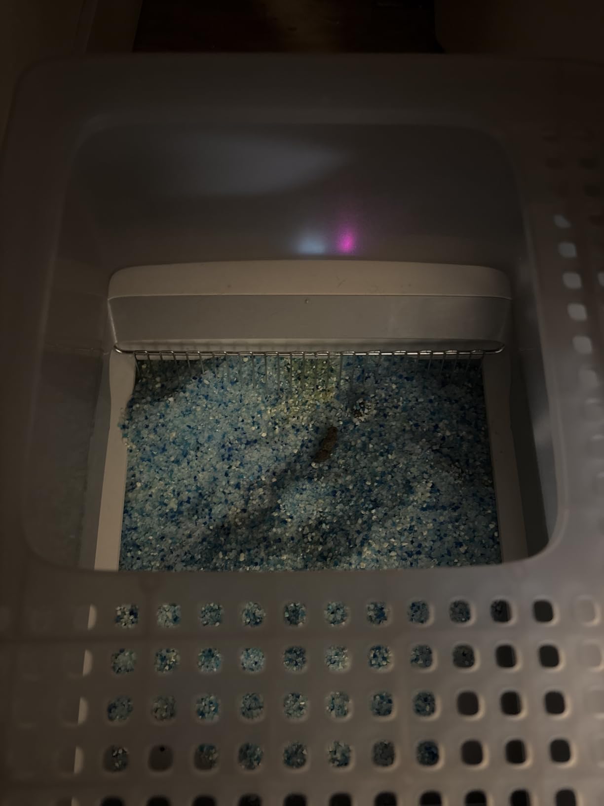PetSafe ScoopFree Crystal Pro Legacy Self-Cleaning Litter Box, Front-Entry customer photo 1