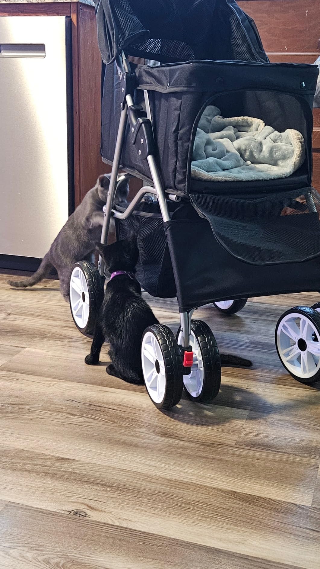 4 Wheels Pet Stroller Dog Cat Stroller for Small Medium Dog Cats Foldable Carrier Jogger Travel Puppy with Storage Basket and Cup Holder (Black) customer photo 2